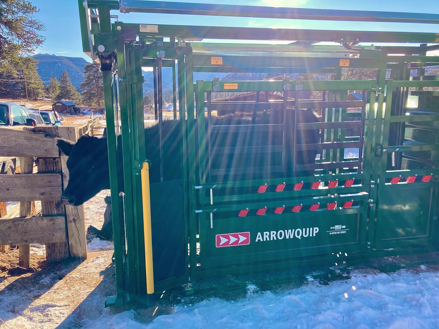 Everyone is happy and healthy!
A huge thank you to the wonderful Philip and Dana Pollock for his help and hard work getting this group ready for a few more months of cold and for, more excitingly, quite a few cute new little ones in the spring!
#macgregorranch #estespark #coloradoranch #ranchlife #historichomestead #nationalregisterofhistoricplaces #historicsite #blackangus