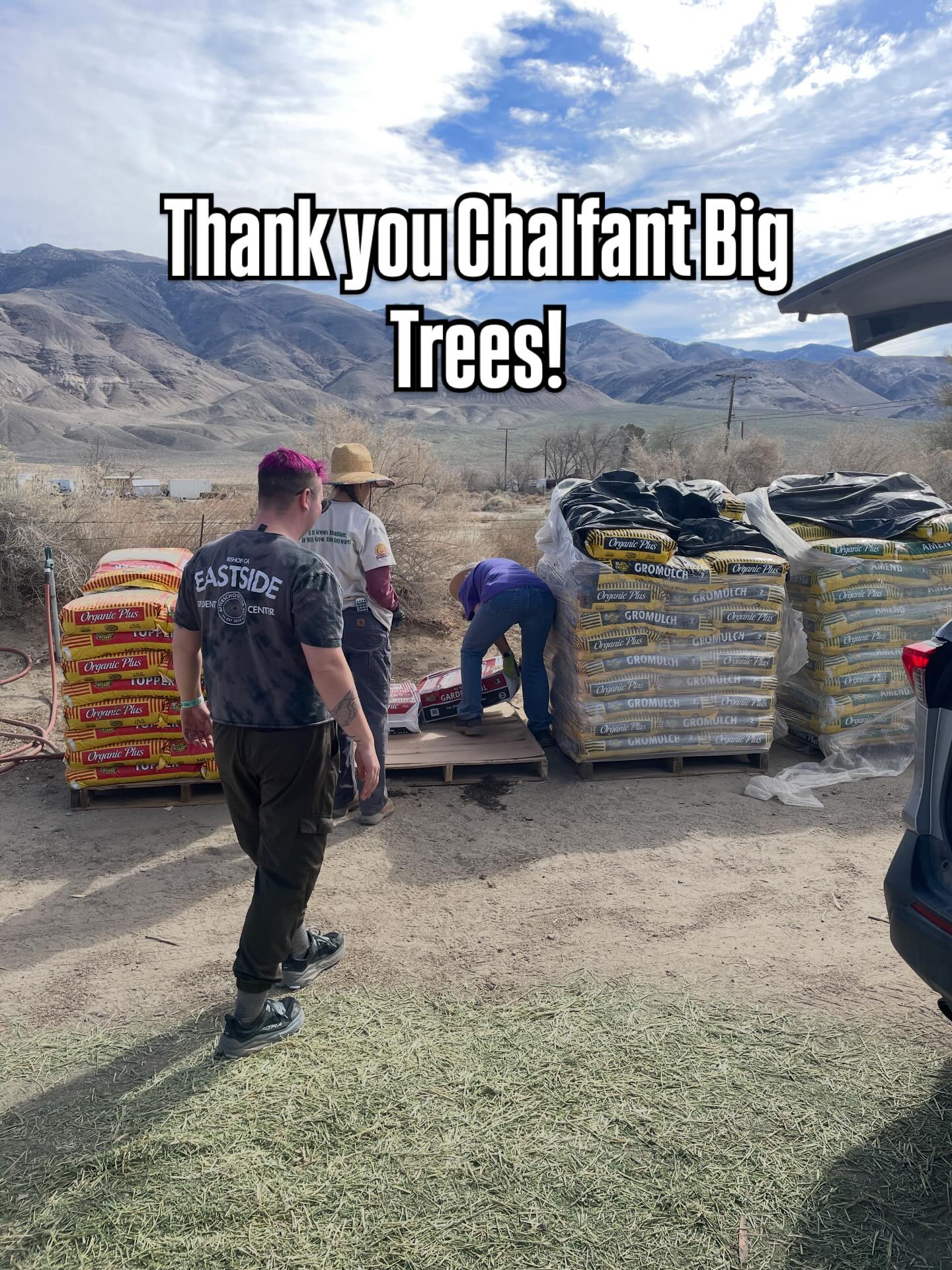 Thank you to Gina at @chalfant_big_trees_farm_feed for donating a HUGE amount of soil and compost to the new in ground garden bed project at the Bishop Methodist Church (our Fowler St location for 5th-6th graders!)
We are on our final steps of getting rid of the huge amount of sand! We moved 2k pounds of sand already 🥲😅🥰 sand bags are available for pickup, please help yourself (205 N Fowler st Bishop)
The soil and compost that is replacing the sand is 🍃ORGANIC🌱 and we are so grateful!
We are one step closer to our food forest!! 🌱🫛🍅🍓
More shoutouts to come, we love our local small businesses 🥹
#bigsupportivebackyard #garden #veggiegarden #studentsoutside #studentgarden