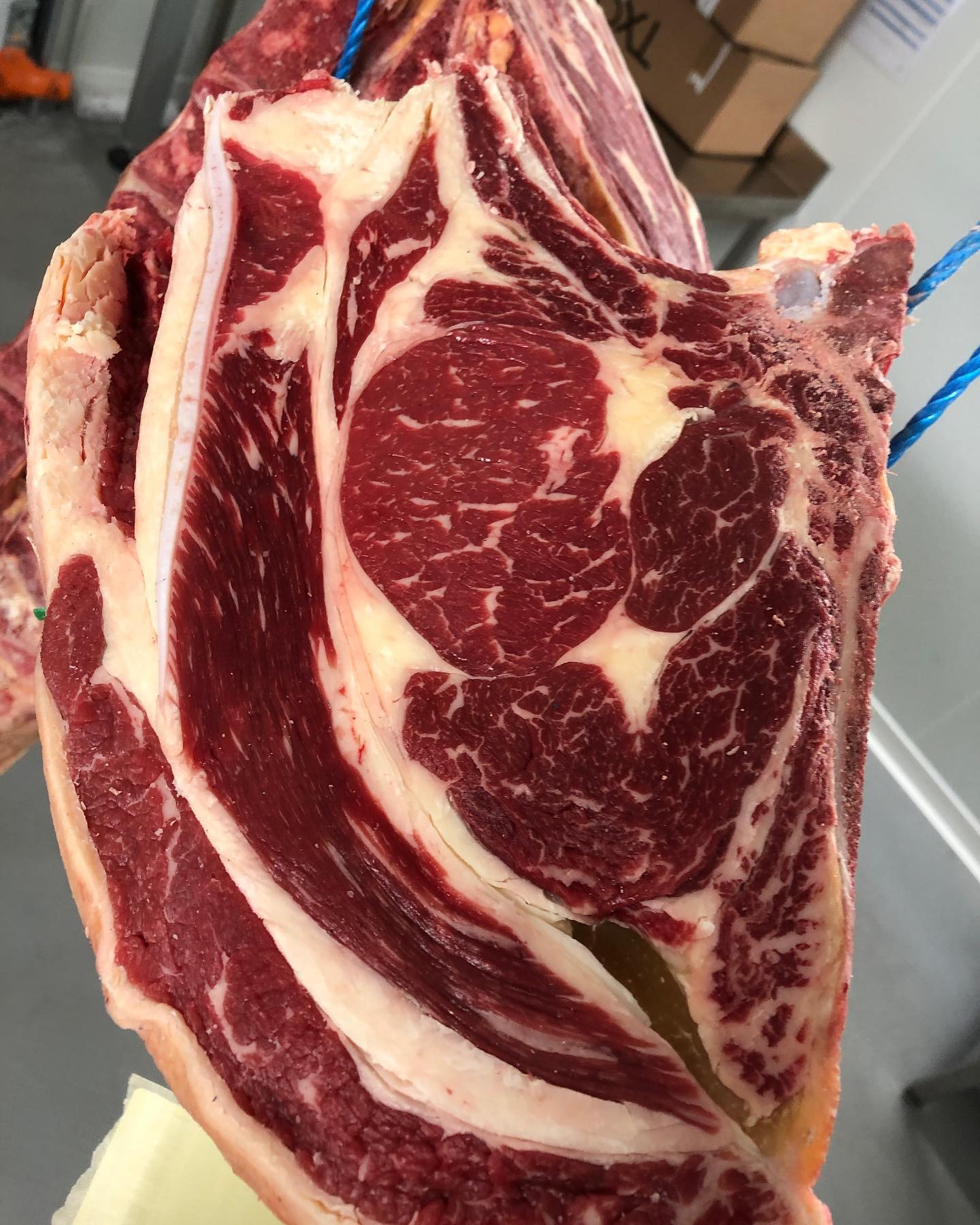 Je suis Charolaise je suis Shorthorn, je suis Jersiaise, je suis Longhorn, je suis Kod beef, je suis Angus, je mature pour être la plus belle pour toi @boucherie_lyonnaise_origine_ #viandesmaturées #viandesdexception #corbas