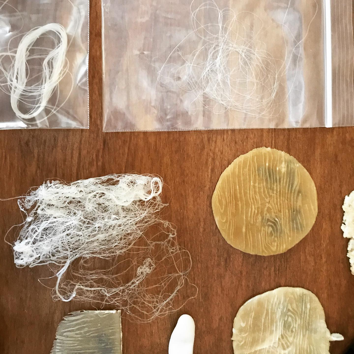 We continue to work tirelessly to create solutions within the plastics and petrochemical yarn industry. This past month has finally had some promising results;)
☽
∆...
.
.
.
#oceanplastic #climatepolitics #climatejustice #environmentalpolicy #climateemergency #oceanconservation #plasticfreeoceans #beachcleanup #biomaterials #homecompostableyarns