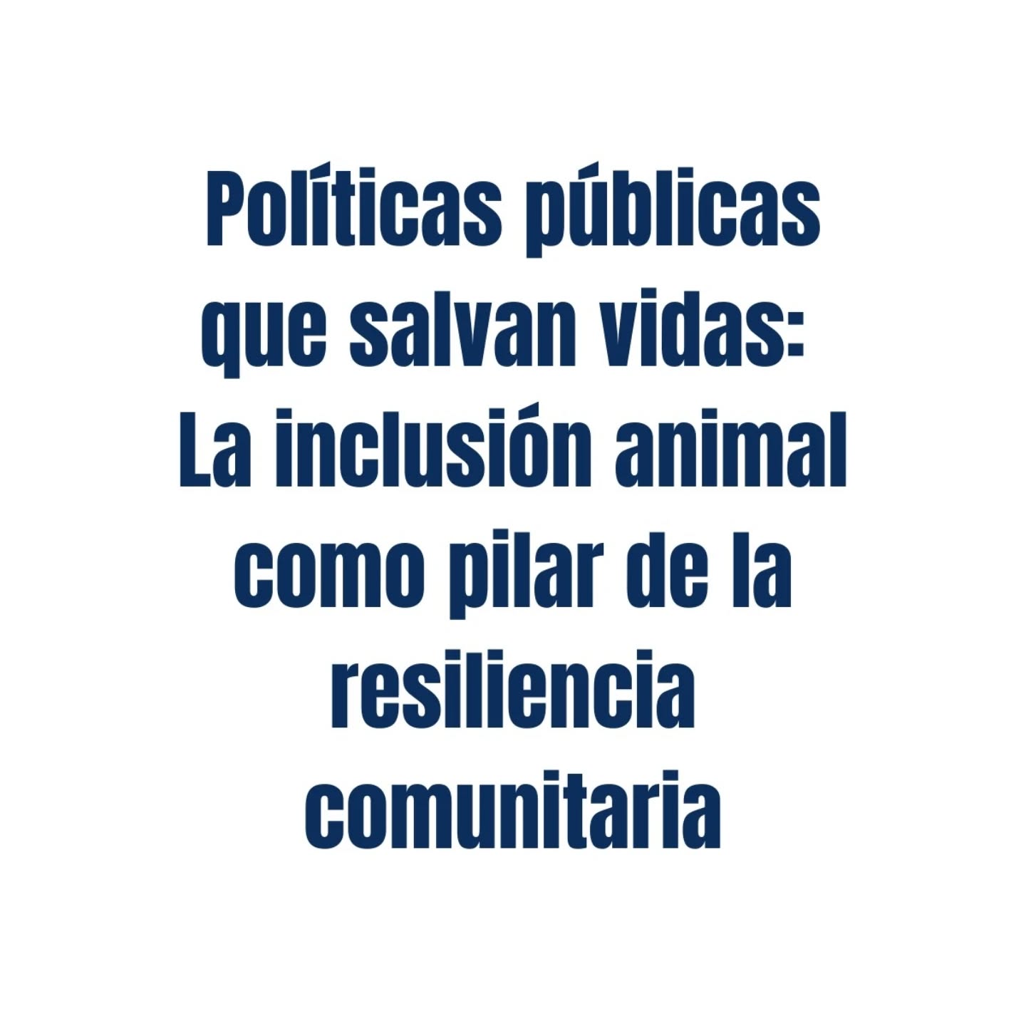 En IAD Latam, te acompañamos en cada paso: desde el diagnóstico de riesgos hasta la implementación de protocolos y la capacitación de equipos. La resiliencia se construye con acciones concretas.
¿Tu gobierno está listo para ser parte del cambio?
#PolíticasQueSalvan #ResilienciaComunitaria #IADLatam #GestiónDeRiesgos #AnimalesEnEmergencias
