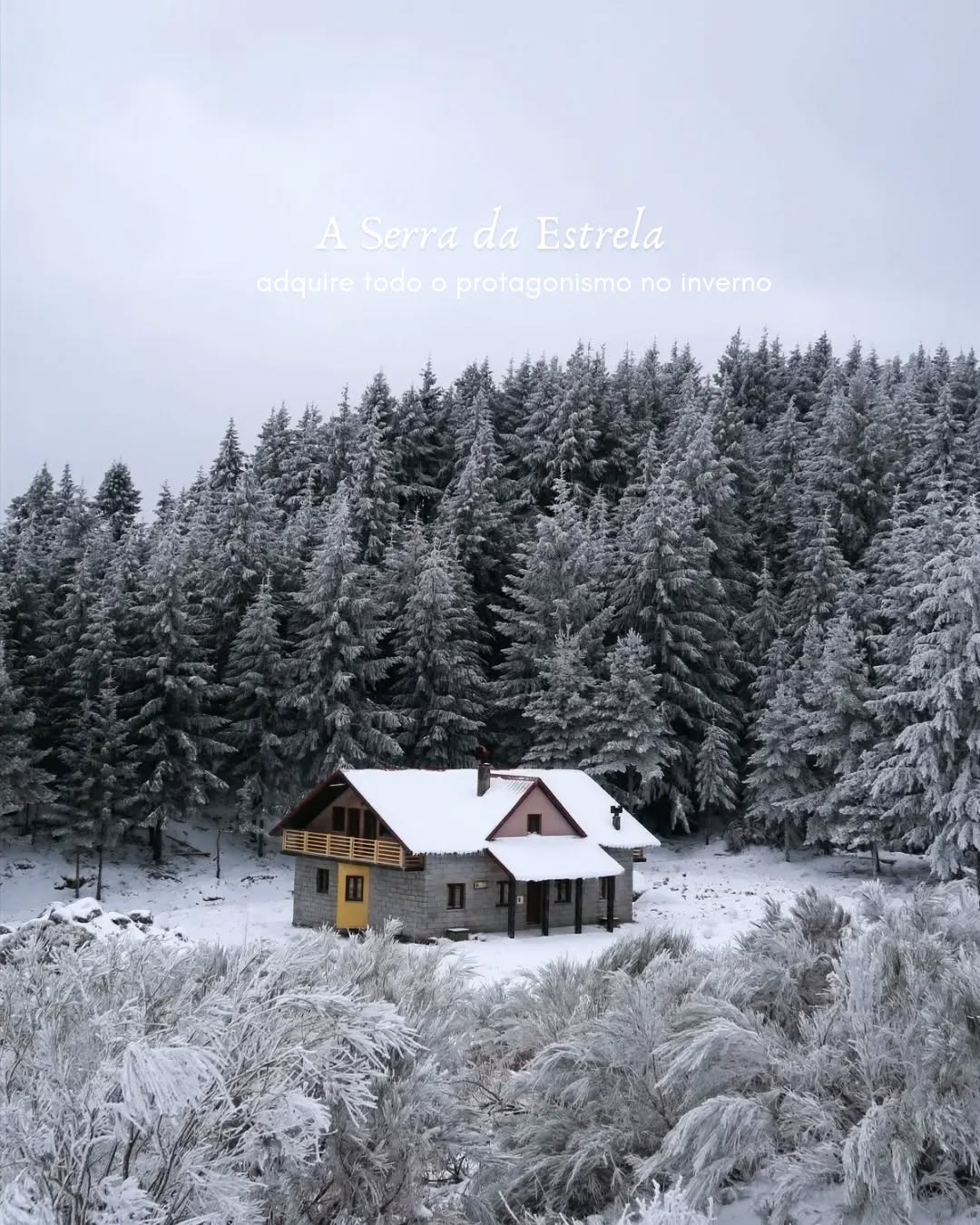 Qual é a melhor altura para visitar a Serra da Estrela?
Este destino de rara beleza paisagística presenteia-nos com cenários idílicos em qualquer estação do ano. Contudo, é no inverno que a Serra da Estrela adquire todo o protagonismo. Sempre a associo à neve e ao frio. É a minha altura favorita para a visitar.
Independentemente da estação, há locais que não podem faltar no roteiro:
- Casa da Fraga
- Poço do Inferno
- Torre a 1993 metros de altitude
- Lagoa Comprida
- Covão dos Conchos
#DiáriodeBordo #travelblog #blogpost #travel #blogdeviagens #SerradaEstrela #Portugal