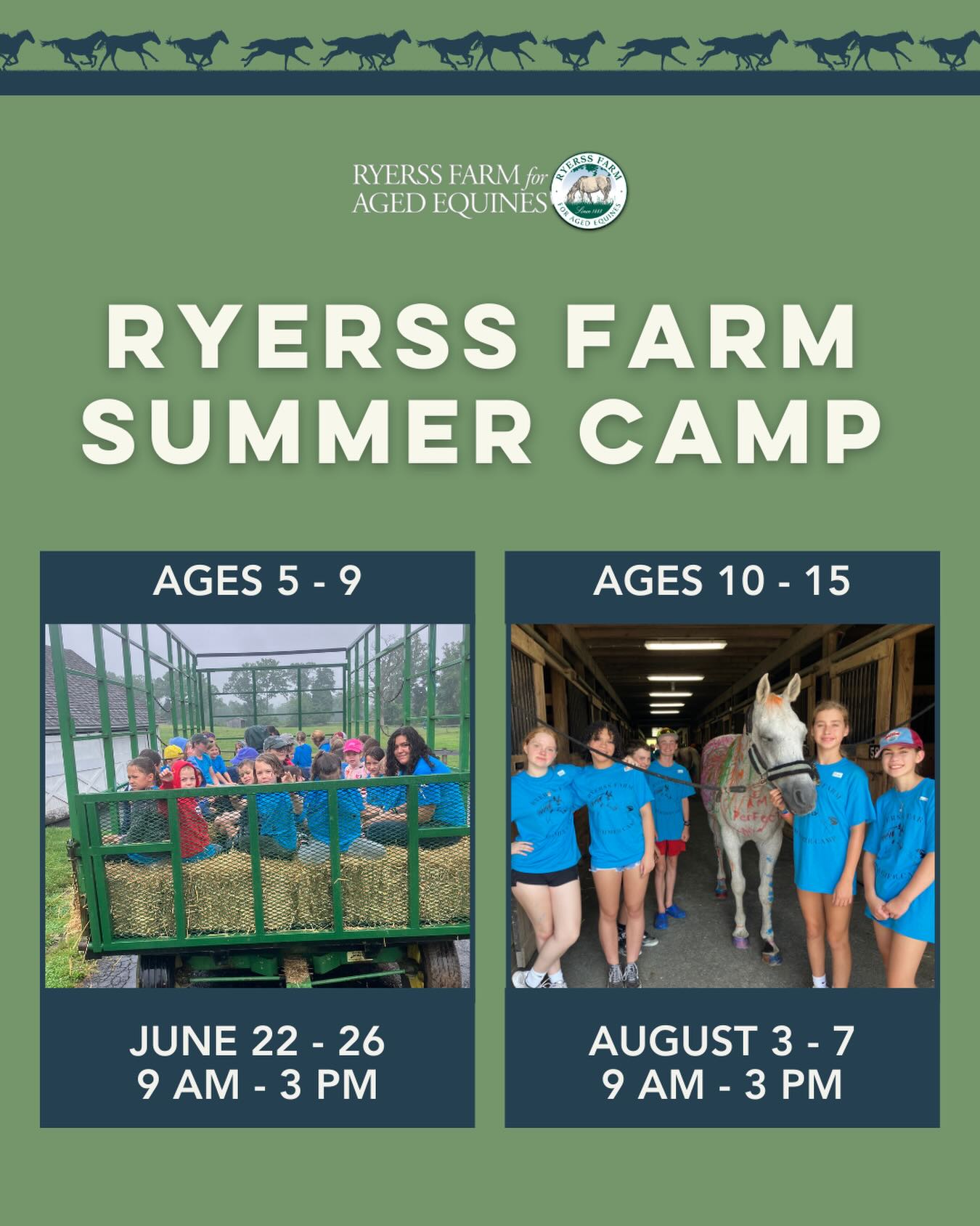 Don’t miss this chance to treat your child to an unforgettable experience at our Ryerss Farm Summer Camp! 🐎✨ The camp will run from June 22nd to 26th for ages 5-9 and August 3rd to 7th for ages 10-15. Spots are filling up quickly!
Experience the farm’s magic and learn what daily life is like for our residents! Each day will be filled with exciting activities, from caring for our cherished residents and the farm to hayrides, field and crop walks, and fun crafts.
Click the link in our bio to register now!