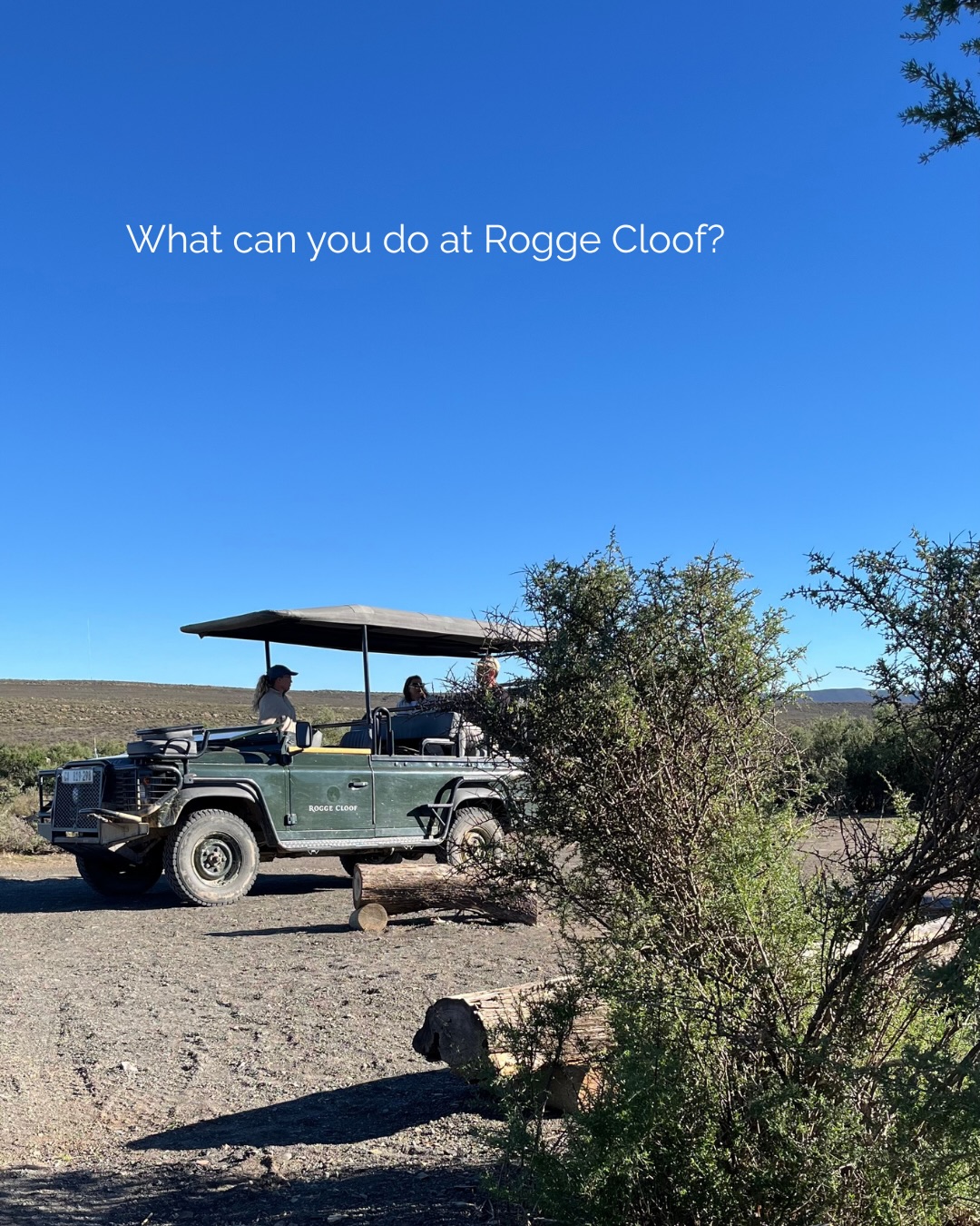 There’s more to Rogge Cloof than wide-open skies and quiet mornings. Whether you’re here for adventure or simply to breathe a little deeper, there’s always something to fill your days and nights.
Explore the land from guided nature drives and cheetah tracking to fat-biking across the gravel roads, the Karoo is best seen up close. You can hike to the top of Salpeterkop (South Africa’s southernmost extinct volcano) or visit the childhood haunts of poet NP van Wyk Louw at Poet’s Cave.
Step into the past Our Fossil Field and History outings take you through Permian Age remains and Anglo-Boer War forts, letting you walk through the stories that shaped this landscape. Feed the Springbokkies and see them up-close.
Savor the quiet End your day with a tasting of our high-altitude, cool-climate wines, or head out after dark. Our elevation and unpolluted skies offer some of the best stargazing and astrophotography conditions in the country.
Book your experiences at reception and discover the Karoo on foot, on a drive, bicycle or under the stars
#luxuryecotravel #darkskyreserve #travelsouthafrica #karoo #karoolife
karooaccommodation hikingadventures hikingsouthafrica cheetahconservation cheetah sustainabletravel stargazing astrophotography sutherland astronomylover wideopenspaces natureescape nightphotography nightsky astronomy thisissouthafrica