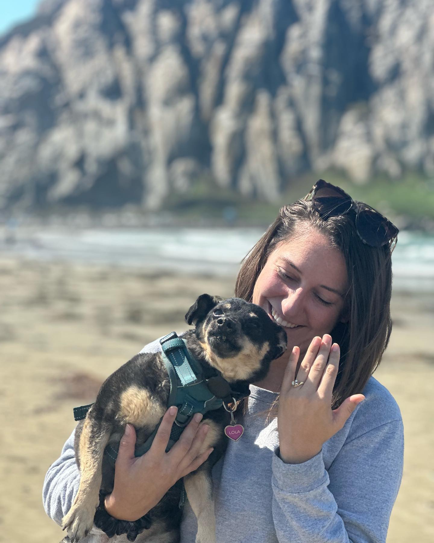 Our relationship is on the rocks! 💎 I’m very excited to spend the rest of my life with you, @qthildebrand … Doctor Brooks has a great ring to it! ❤️
Big thanks to @turtlerockvineyards for snapping the action shots and the celebratory bubbles! Also, big thanks to these puppies for keeping the secret until it was time to pop the question! You were all a great team! #engagement #weddingring #morrobay #puppies #love @tincitydistillery @pronouncedbypatrick