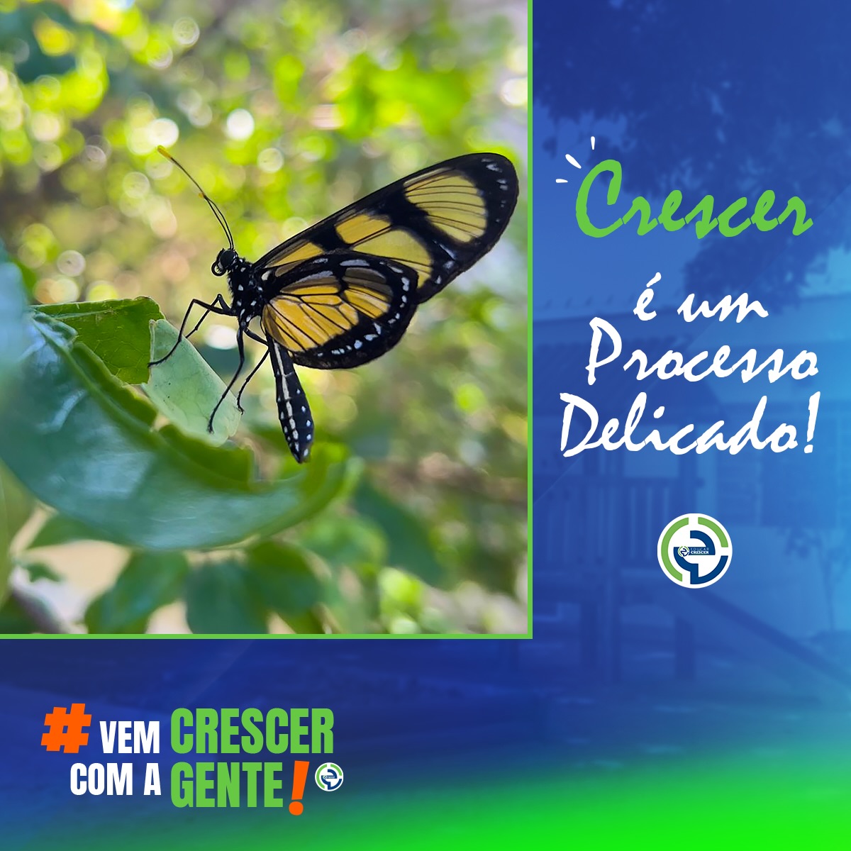 Crescer é delicado porque envolve sentir, descobrir, tentar e recomeçar todos os dias. 💛
Na infância, cada pequeno avanço carrega grandes significados, e por isso, é essencial estar em um ambiente que acolha, estimule e compreenda cada etapa!
Olhares atentos, mãos que acolhem e presenças que encorajam.
É nesse cuidado diário, quase silencioso, que a confiança nasce e o desenvolvimento floresce de forma natural. 🌿✨
Porque cada criança merece crescer no seu tempo, com segurança e afeto. ✨
💚 Venha conhecer a Educar e Crescer!
Acesse educarecrescer.com 📲
#EducarECrescer #InfânciaComAfeto
#DesenvolvimentoInfantil #EducaçãoInfantil
#PrimeiraInfância