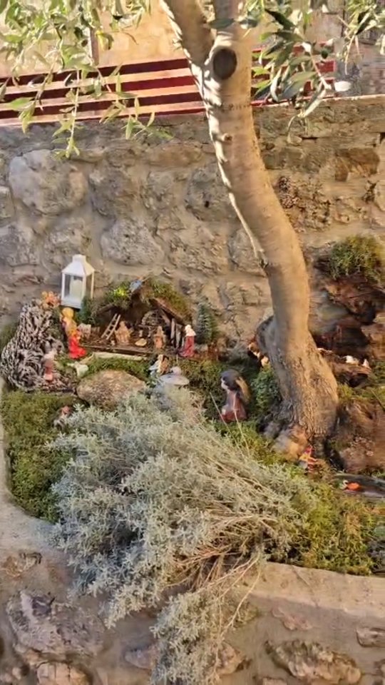 A quiet throwback to the last festive season.
From the stillness of Christmas to the awakening of Easter, life gently carries us through its sacred cycles.
Each season arrives with its own meaning birth, renewal, reflection and transformation. Nothing stays yet everything flows exactly as it should.
There is something so beautiful in these transitions in watching time unfold, in honouring what was and in softly stepping into what is to come.
#SeasonsOfLife #SacredCycles #SpiritualJourney
#TimeAndTransformation #GentleBecoming