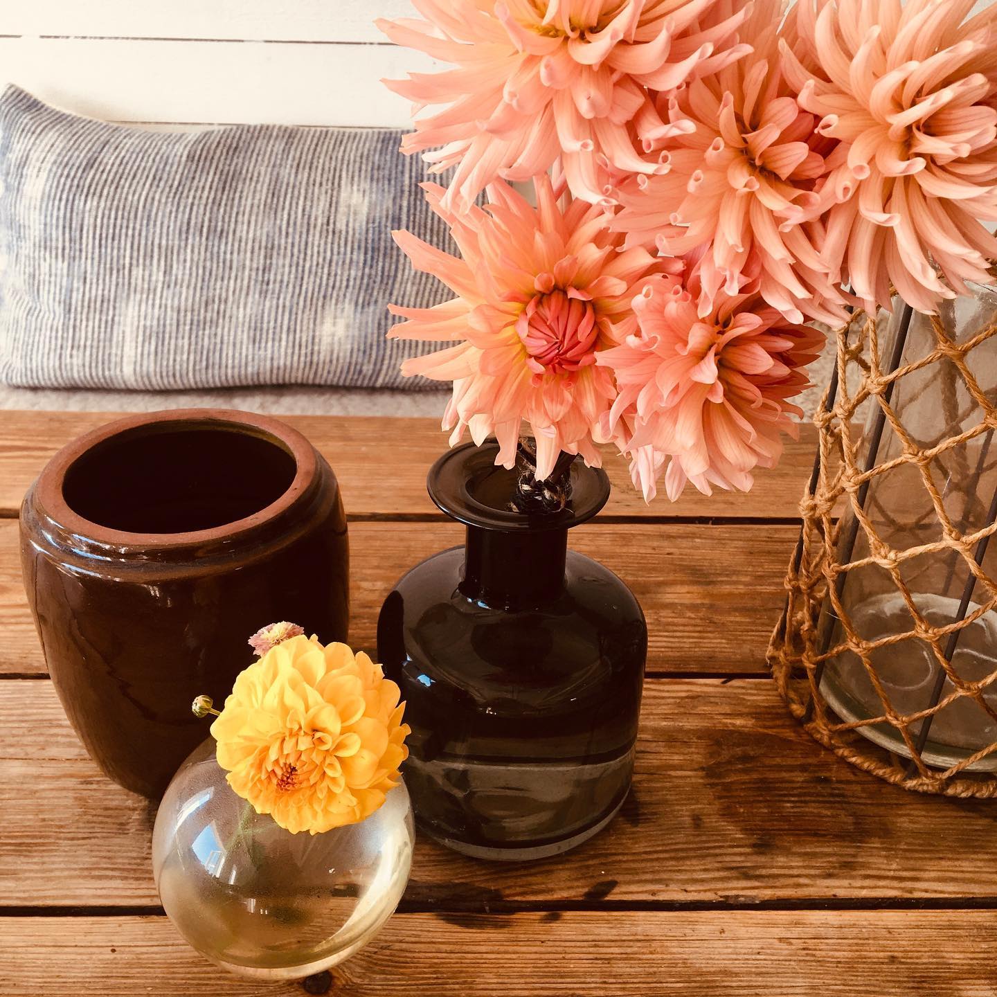 Idag fick vi väder ja!
Men vi har öppet så kom och låt Harald & Josef ta hand om er! Eller ring in en TakeAway-order på 0523-301 21, menyn hittar du på roysdelikatesser.se🦞
Tack @vasakeramik för fina bilder, in och kolla allesammans!