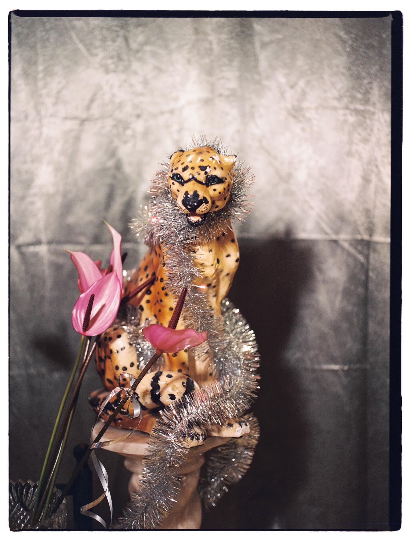 • S A L V A J E but make it diva •🐆🐆🐆🐆🐆
.
.
.
.
👁️.👁️ @jopipemi