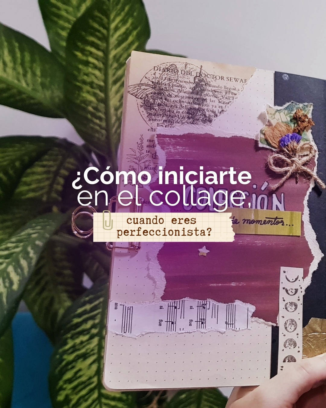 Esta es tu señal para soltar esa voz que te dice: No eres lo suficientemente buena para (Inserta un sueño aquí)
Yo me lancé a hacer journal con @silvianativas durante pandemia y ahora me animé a compartir lo que he aprendido en el Taller de Mujeres históricas. Nos quedan los últimos cupos y voy a estar acompañada de @andrealomastro para conectar con nuestra sabiduría femenina🥰
Nos vemos el sábado 🌟
#tallercreativo #tiempoparaser #tiempoparami #journal #ciclomenstrual