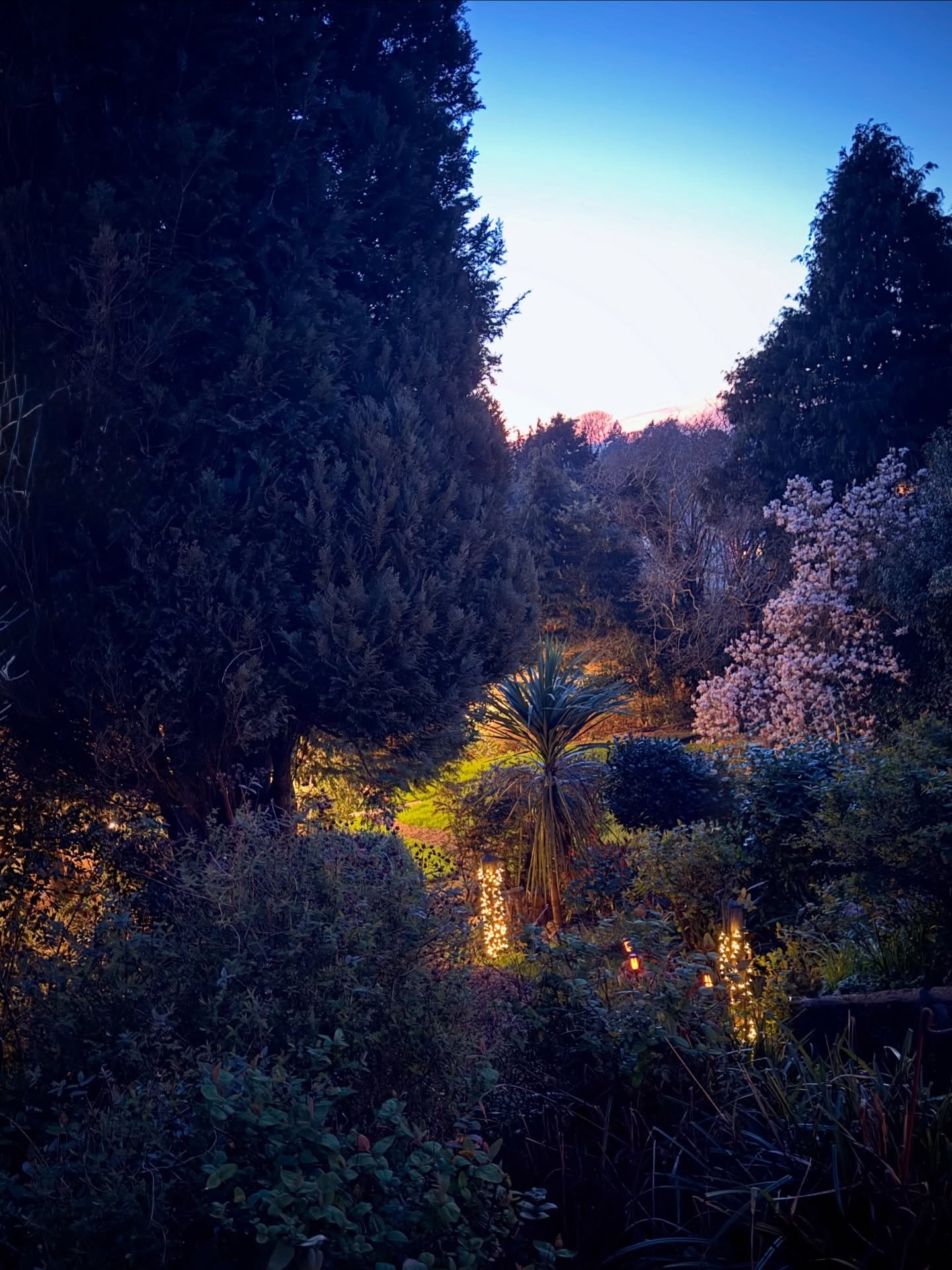The path leading down to the yurt at Dusk- such a special place… 🙏 ❤️ 🛖 ✨#totnes #reiki #yoga #soundhealing
