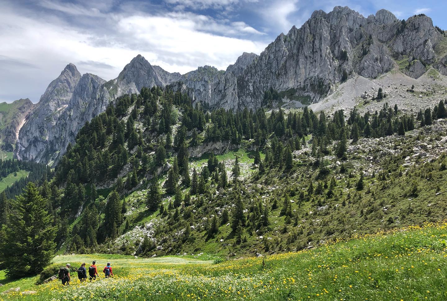 Habilitée à vous emmener sur des chemins alpins dès maintenant ⛰ 🤗
Formation T4 au top, merci aux guides et aux collègues !
#accompagnatriceenmontagne #wanderleiterin #mountainleader #t4 #asam #paysdenhaut #vautour #kulkatrek