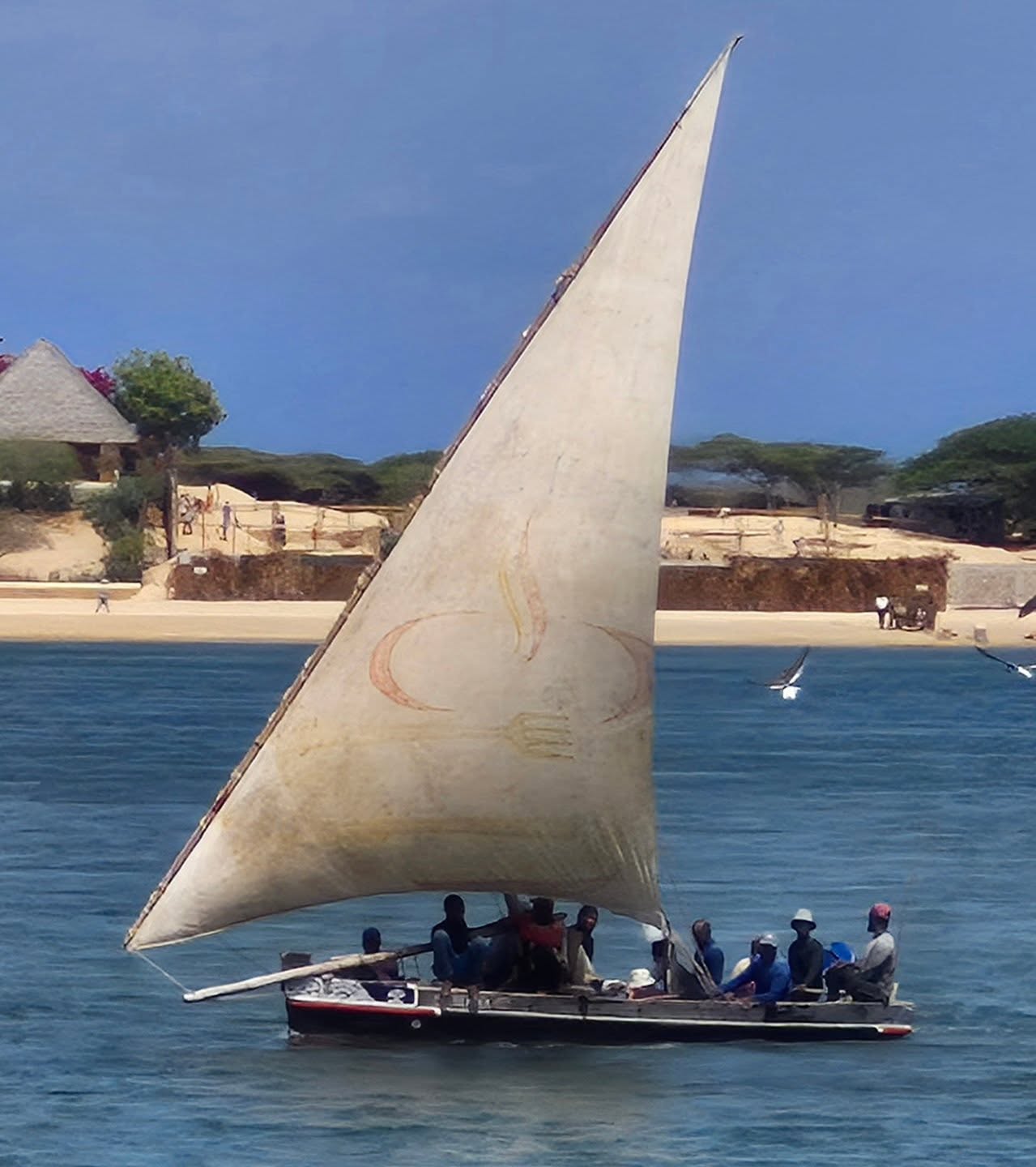 Birds following behind a returning fishing Dhow. #shela #lamu #peponis #ıslandlife #indianocean