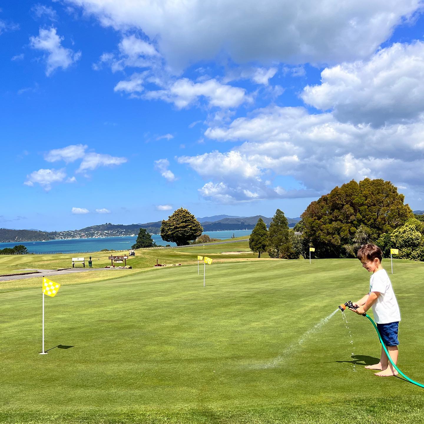 Shoutout to, Oscar.
Helping keep our practise green (and a few cheeky members) extra cool on these hot summer days ☀️