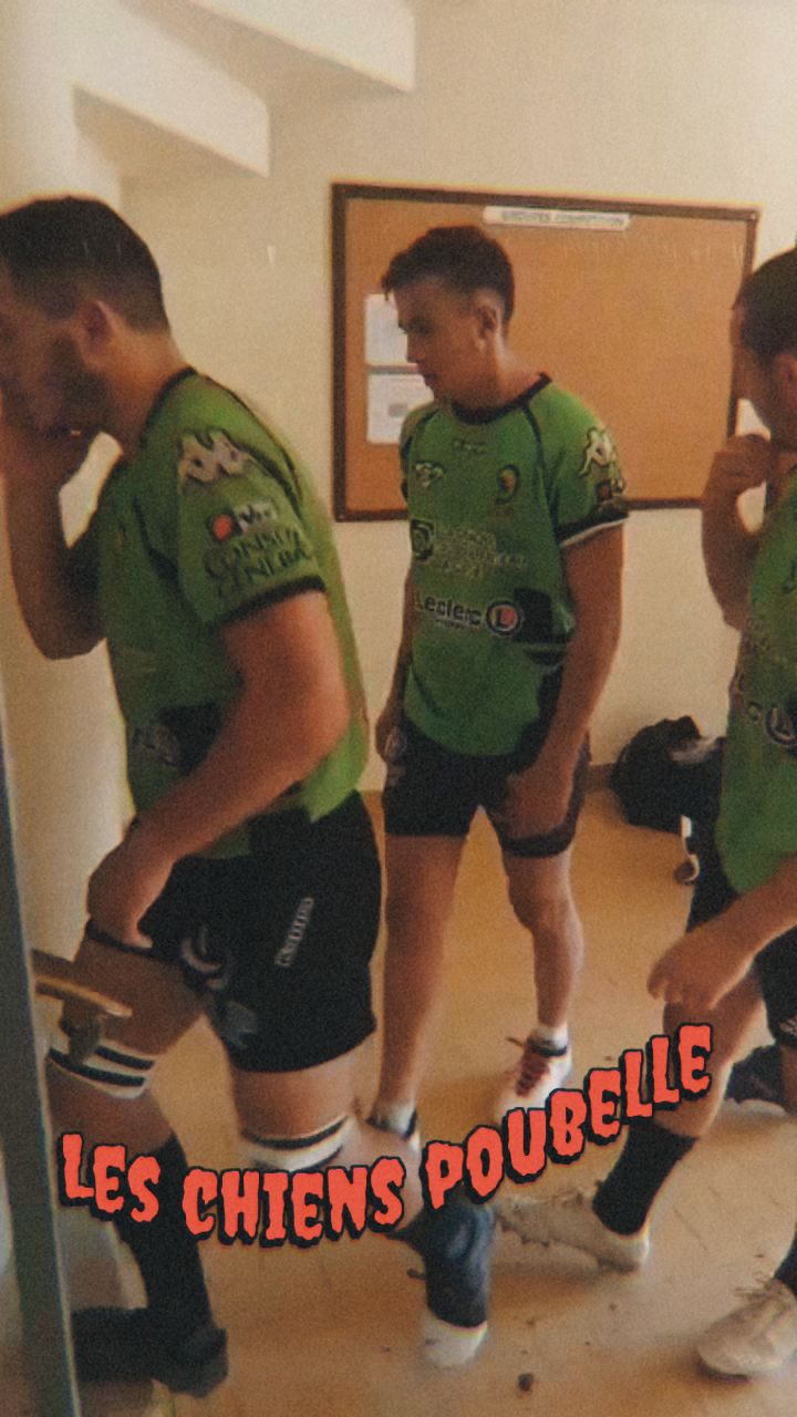 Les chiens poubelle #rugby #passion #amitié