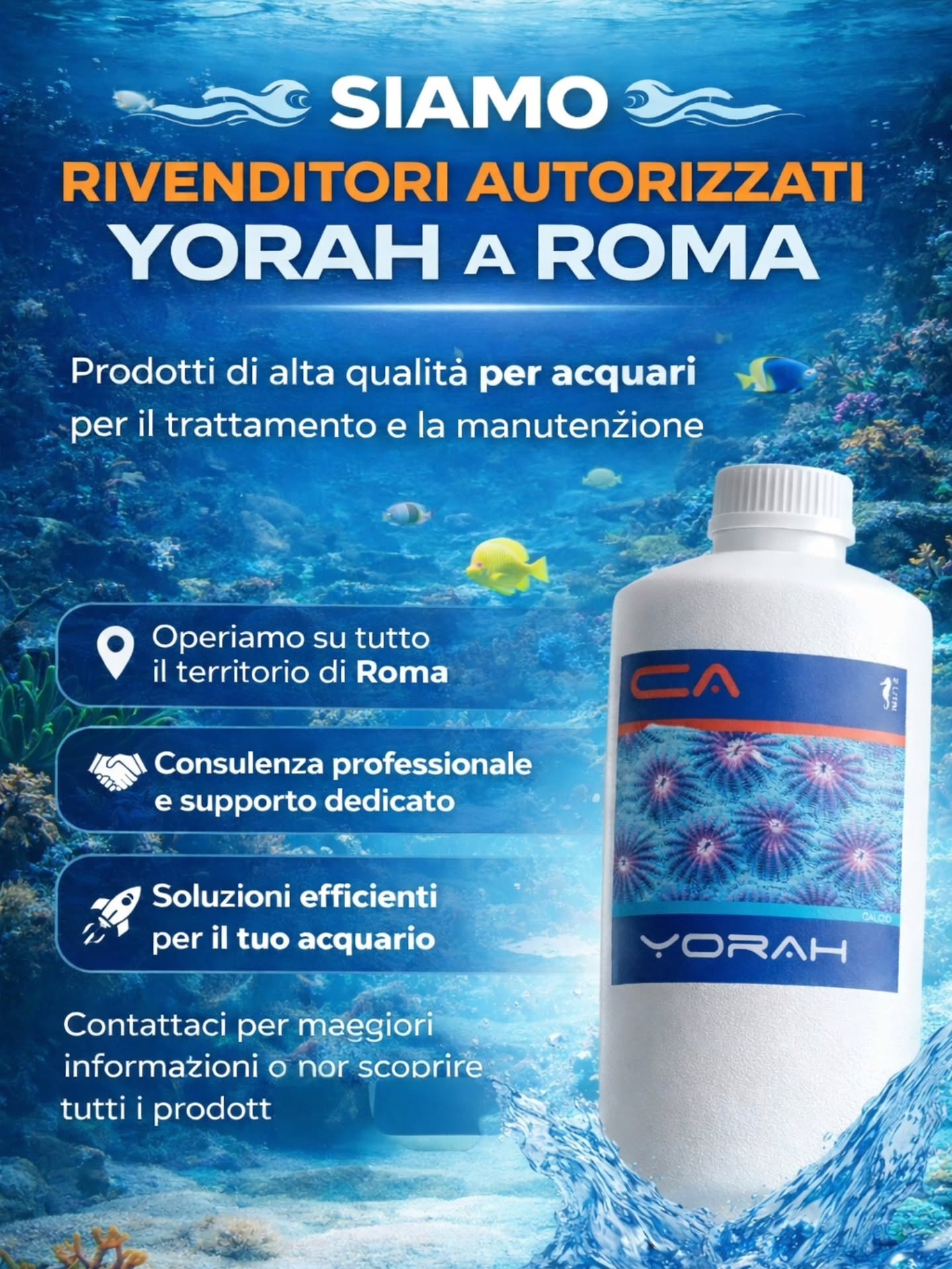 📌 Siamo rivenditori autorizzati YORAH a Roma, con soluzioni professionali per il trattamento e la manutenzione del tuo acquario..
Affidati a prodotti di qualità e alla nostra esperienza per risultati ottimali.
#Yorah #Acquari #Acquariofilia