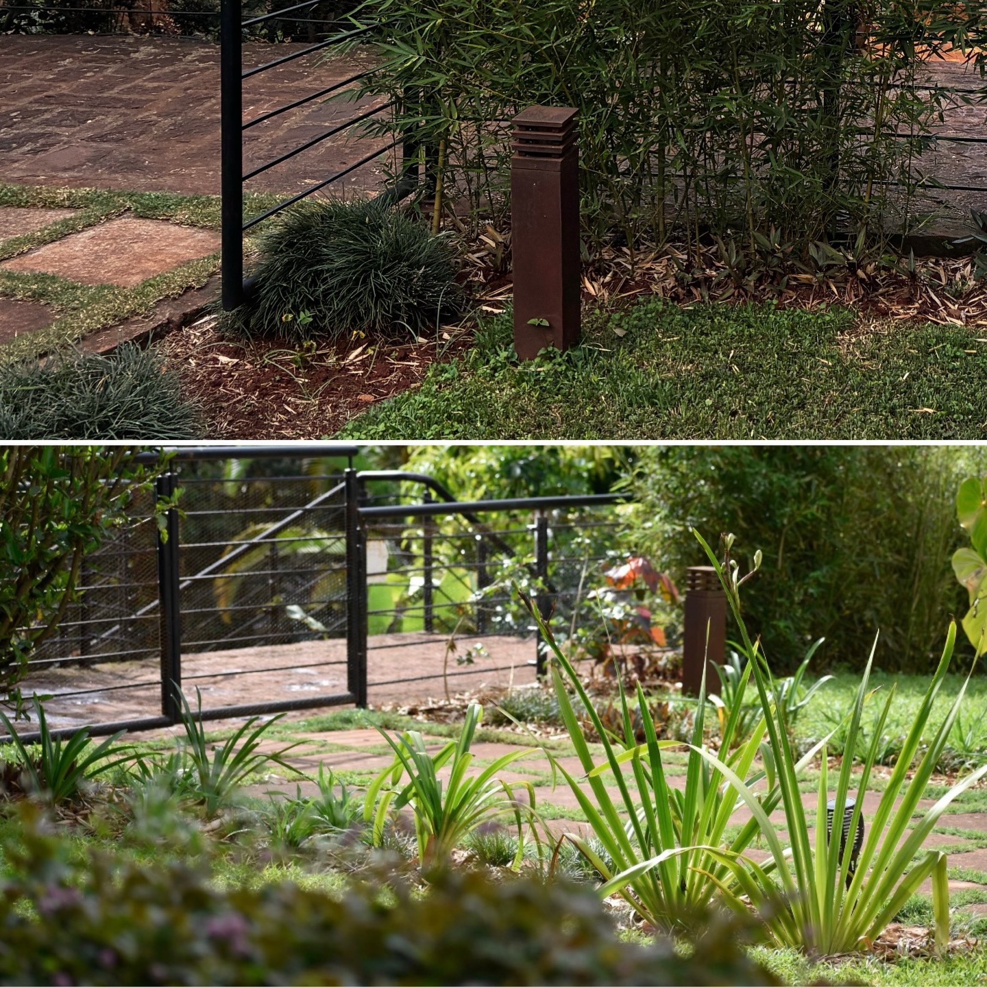 This is where gardening meets living, where function meets feeling, where a space begins to breathe new life 🪻🏡🌾🐝