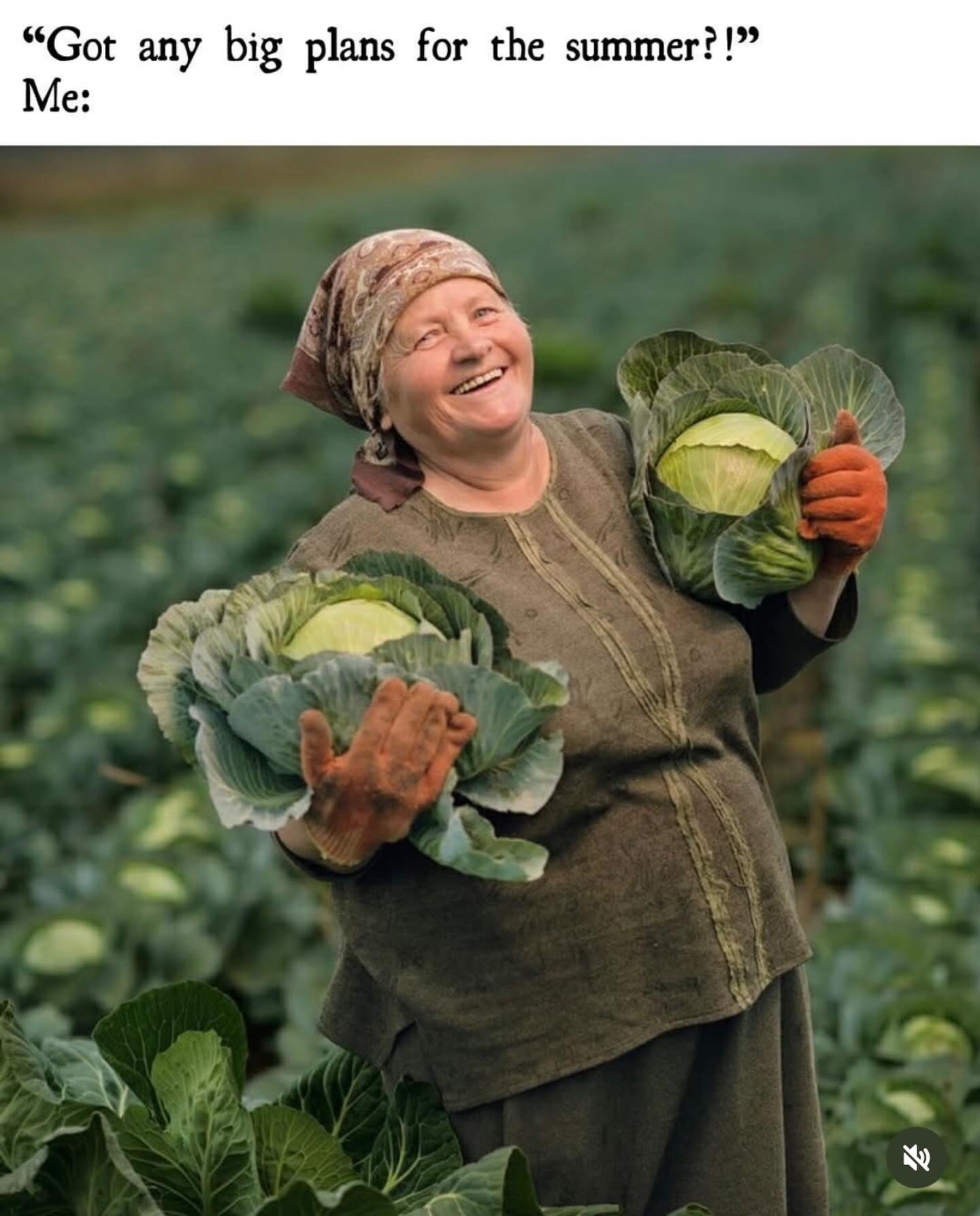 Summer coming soon! They say it’s the year of the cabbage. We will have all the cabbage you need. #sliceofheavenfarm