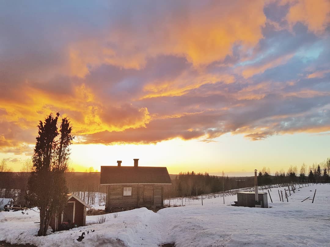 One of the countless sunsets on our farm. Early spring ones are special🥰
#sunset #farm #farmstay #bedandbreakfast #puustilascenicfarm #visitilomantsi #visitkarelia