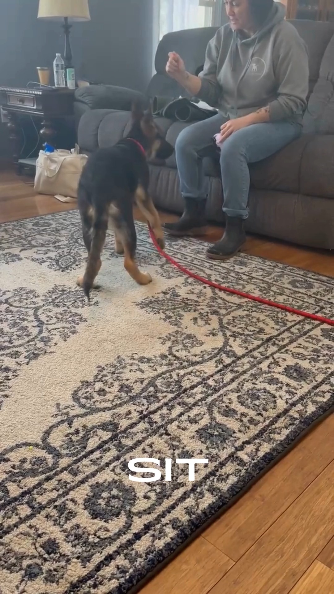 🐾In-Home Puppy Training with Abby
Meet Abby - a happy pup learning the basics right from the comfort of home!
Abby is building confidence, good manners, and a strong bond with her owners through personalized, in-home training.
No crowded classes, no overwhelming enviroments. Just real-life training where it matters most - your home.
🐶 Whether you've got a new puppy like Abby or a dog that needs a reset, I'll help you create a calm, well-behaved companion.
👉Message now to get started!
#dogtrainer #614 #dogtraining #puppyschool