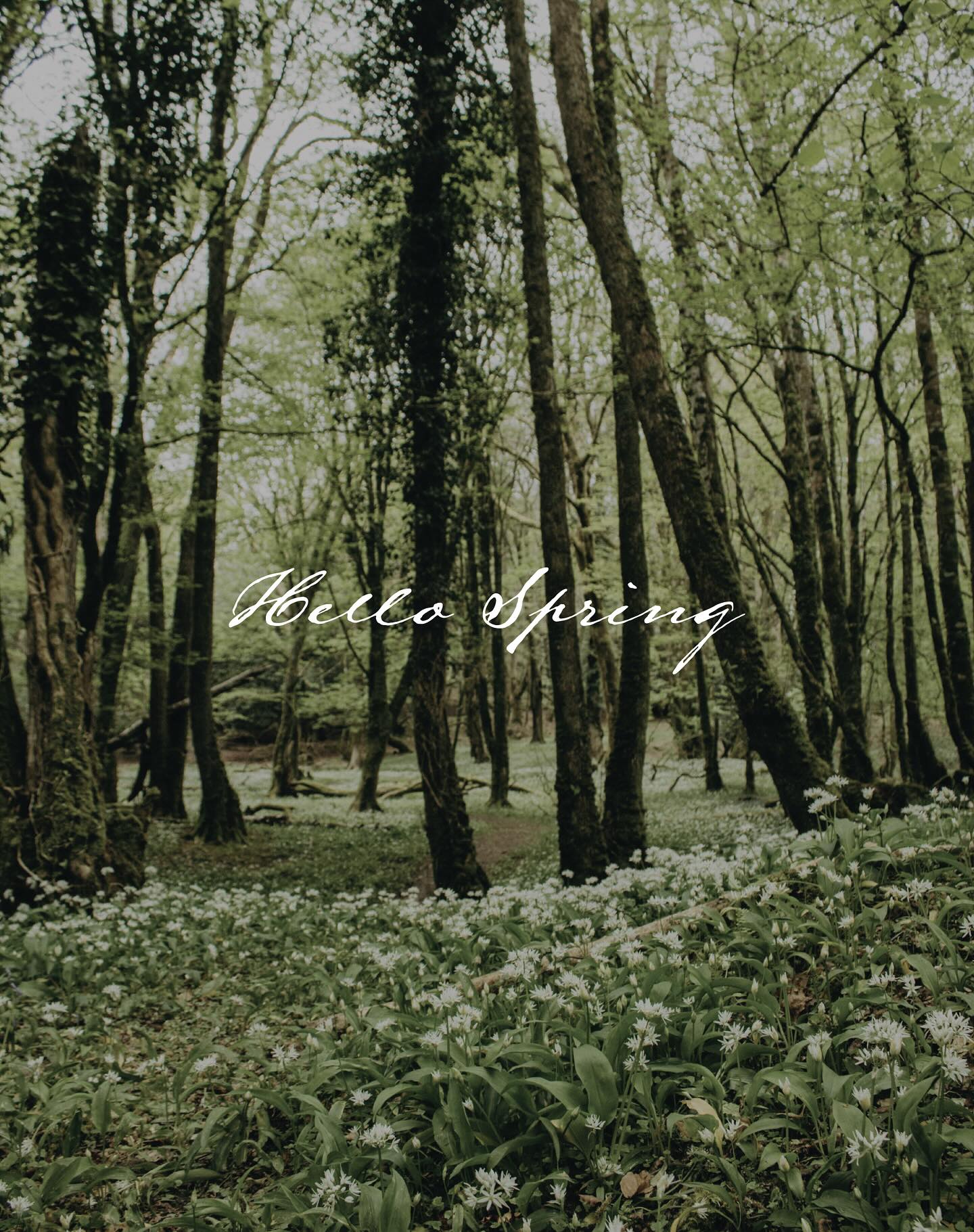 It’s officially Spring equinox, the first day of spring today!
.
The gardens are all bursting into life, it’s going to be spectacular.
.
Come and enjoy springtime at Flore, by booking your stay today.
.
#springequinox #firstdayofspring #relaxandunwind #unwind #specialstays #peaceandtranquility #kickbackandrelax #eclecticinteriors #luxurystaysuk #weekendescapes #luxuryescape #romanticgetaway #weekendgetaway #florehouse #northamptonshire
#florehouse #northamptonshire