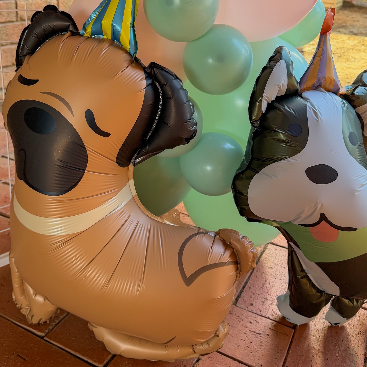 Foil balloons are the cutest way to add a little something extra to your garland.
🐕🐩🐕🦺🐾
DM us now to book in your next event 📩