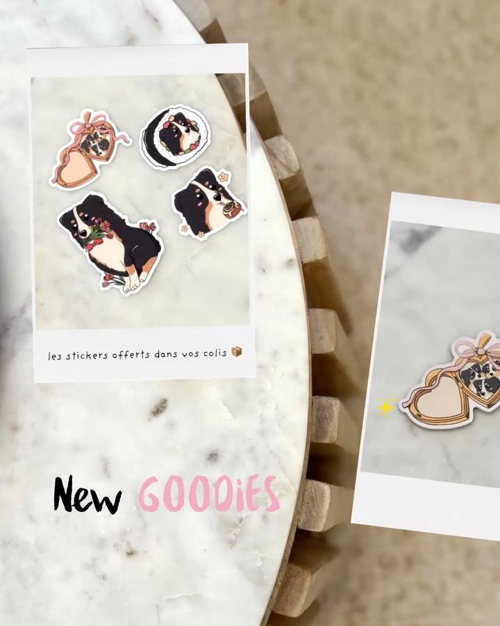 TADAM 👀🫧✨
Ils sont arrivés, les nouveaux goodies avec les nouveaux designs en édition limitée 🫶🏻
Magnet, portes clé, chiffon de nettoyage et les nouveaux stickers qui eux seront offerts dans vos colis 📦☺️
Disponibles dès maintenant sur le site internet :
latroupeanono.com
J’ai hâte de voir vos retours!
#accessoirechien #goodies #dogaccesories #porteclé