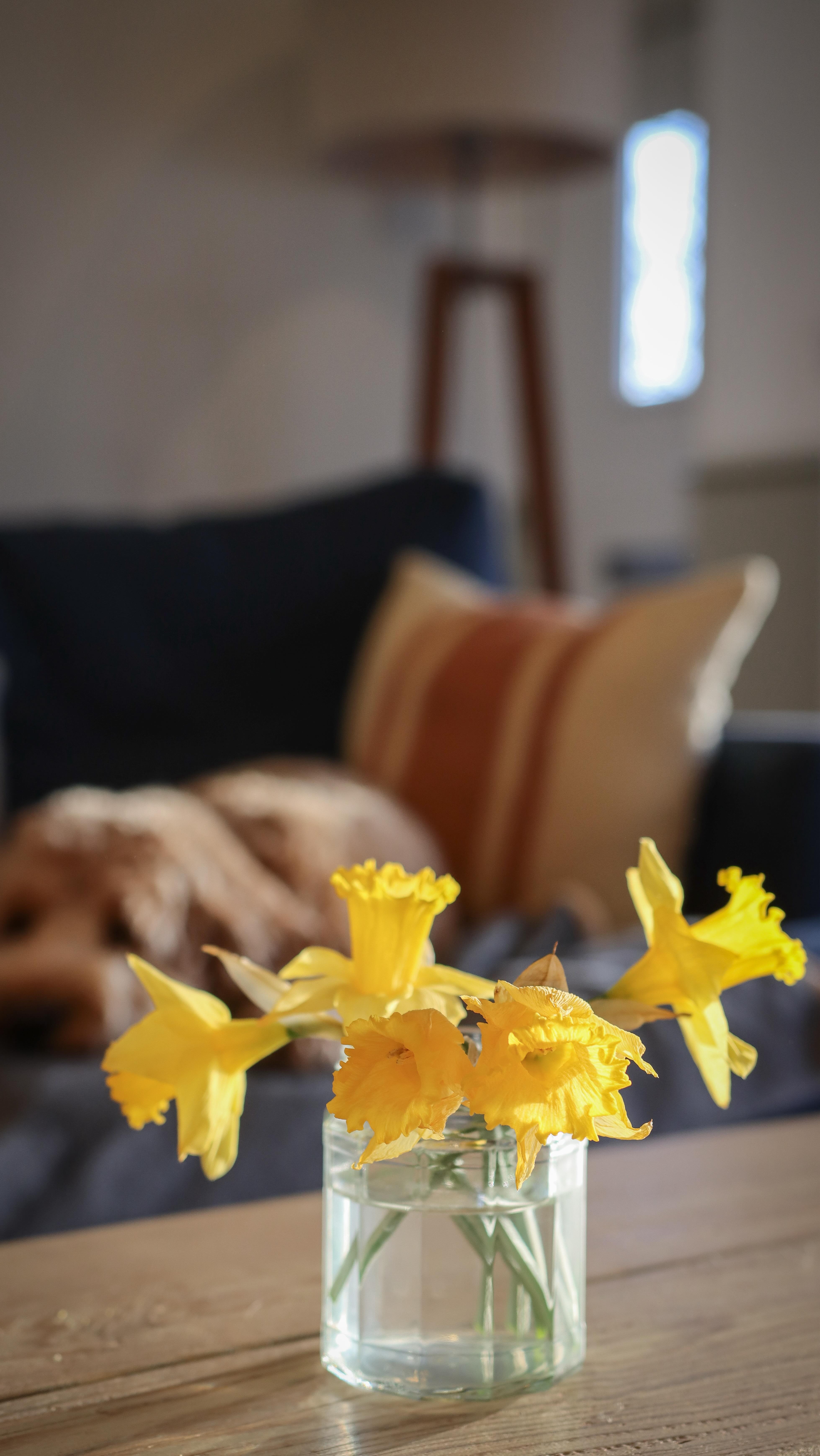 The little camera shake 🥹📸🤎
It’s no joke that I have more anxiety than both the dogs combined and I refuse to go anywhere without at least one dog 😂