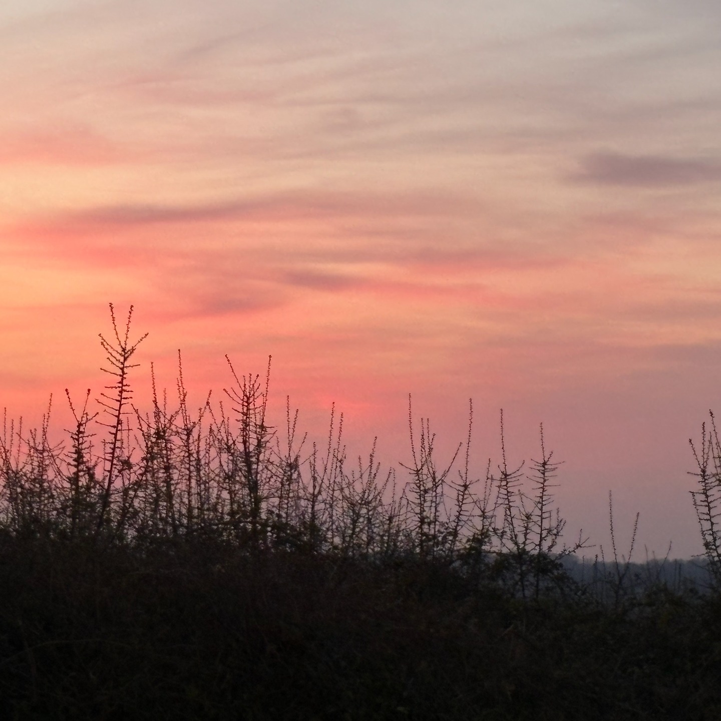 A beautiful sunset this evening, as seen from the @themasonsarmsfrome 🌅✨
#Frome #FromeSomerset #FromeLife #SomersetSkies #SunsetMagic