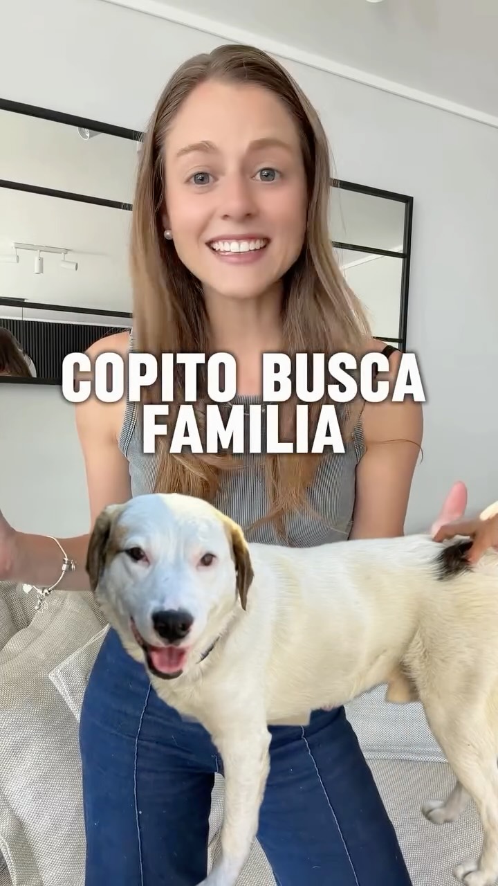 Copito busca su familia definitiva 🐶
Tiene menos de 2 años, pesa aprox 24 kg y es un perrito muy cariñoso y sociable.
Se lleva bien con perros y gatos, está castrado, vacunado y desparasitado.
Después de pasar por varios hogares temporales por razones externas, hoy solo necesita estabilidad y una familia que lo quiera para siempre ❤️
Requisitos:
• Casa con perímetro cerrado
• Responsabilidad y compromiso
📍 Quinta región (puede viajar a Santiago)
📲 Contacto: +56968354117 - Pilar
✨ Comparte para ayudar a Copito a encontrar su hogar
#adoptanocompres #perrosenadopcion #buscahogar #perroschile #rescatado
