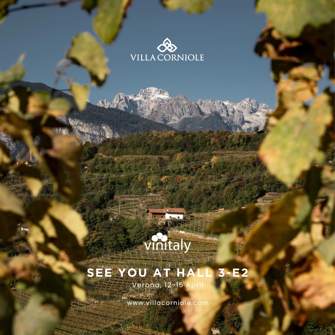 Dal 12 al 15 aprile saremo presenti a #Vinitaly Verona, appuntamento di riferimento per il settore vitivinicolo a livello internazionale. Saremo lieti di accogliervi presso il Padiglione 3, Stand E2, per presentarvi l’eleganza e l’autenticità dei nostri vini di #montagna da viticoltura eroica.
From April 12th to 15th, we will be attending #Vinitaly in Verona, a key international event for the wine industry. We will be pleased to welcome you at Pavilion 3, Stand E2, to present the elegance and authenticity of our #mountain wines from heroic viticulture.
@vinitalyofficial
@vinitalyandthecity
@vinitalyinternational
Ph: @marcofalconephotography