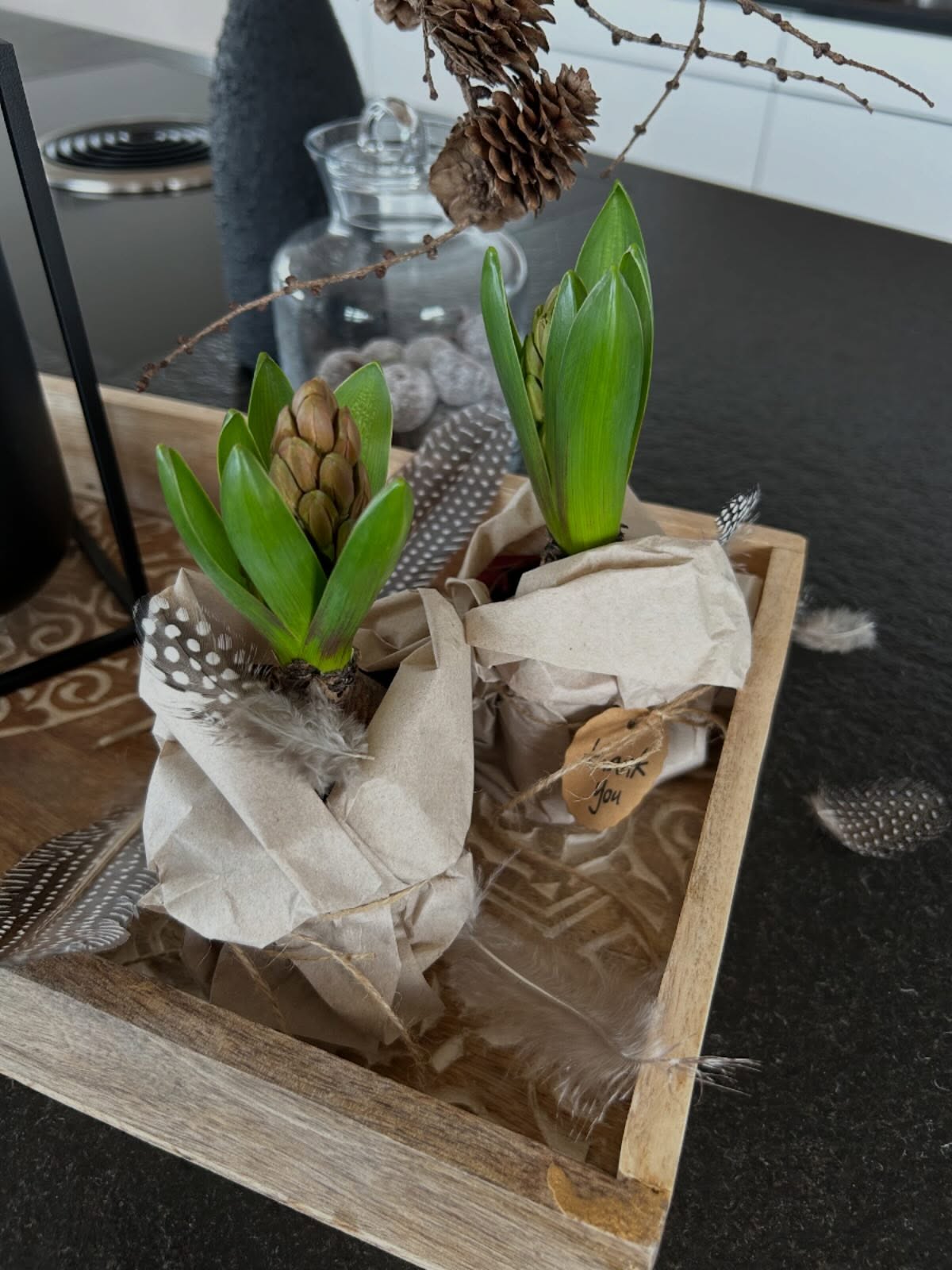 Weisse Hyazinthen - ich lieb‘s 🤍
Manchmal braucht es gar nicht viel: Ein schlichtes Pflanzgefäss, einmal kurz ins Rapp‑Paper gewickelt – und plötzlich fühlt es sich an, als würde ich mit frisch gekauften Blumen aus dem Laden spazieren.
Dieser Duft, dieses helle Weiss, dieses kleine Kribbeln von „Oh, wie schön“. Ein Hauch Frühling, eingepackt in Papier, bereit, das Haus ein bisschen leichter zu machen.
Es sind genau diese Mini‑Gesten, die den Alltag verwandeln. Einmal wickeln, einmal lächeln – und schon ist da dieses Blumenladen‑Gefühl im eigenen Zuhause.
#hyazinthen #weisseblüten #frühling #cozyhomevibes #frühlingsduft