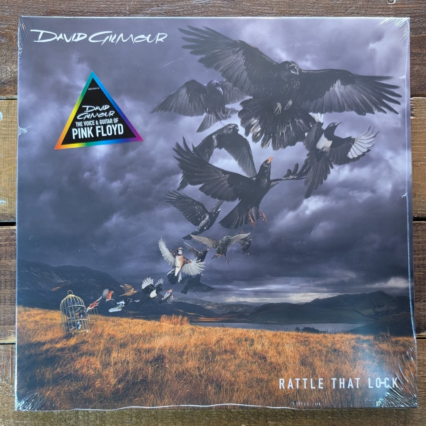 Bore da.
Sun's out, guns definitely aren't 💪
The doors are open until 5p.m. today with lots of great records available to browse.
Here's just a couple going into the racks as I virtually speak...
#thesecond45 #llanellirecordstore
#vinylgoodness