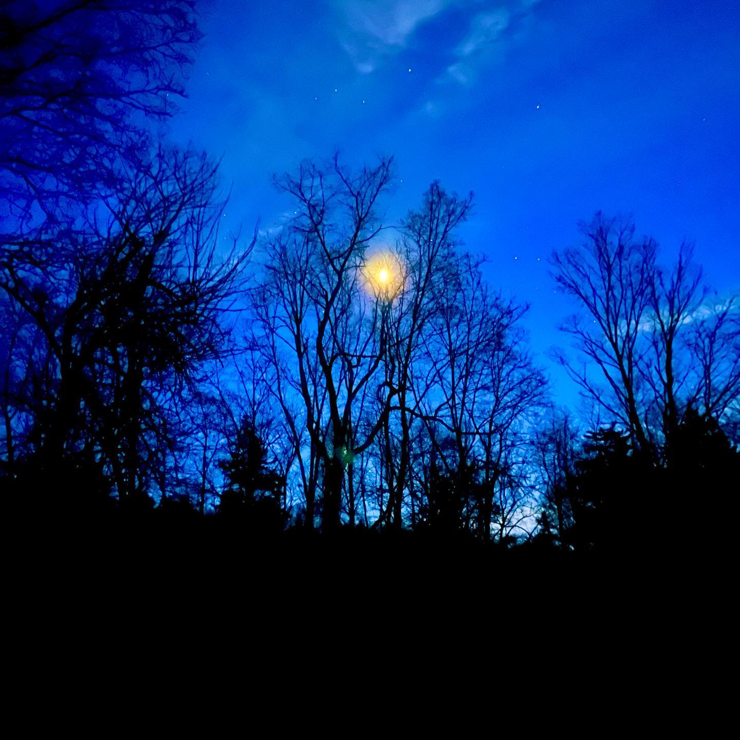 More contemplations in Blue ✨🌀Photos from last night, November 20, 2023, here @rhinevalleyfarm in the Gloaming Hour. “Gloaming” is an Old English/Scottish term synonymous with twilight and dusk, the darker part of twilight.” I love taking photos this time of year, late November. The bone trees are present, and the air is crisp and crystalline. As the waxing gibbous moon rises the sky darkens, I walk and take photos as a coyote howls in the distance. No flash. As the sun falls beneath the tree line, the moon shadows rise. I am feral, and I forget that my hands are near freezing in the heat of release. #winternight #gloaming #twilight #Moon #lunarcycle #womenwhorunwiththewolves #priestessofastera #GaiaCodex #artofmanyforms #EnchantedForest #winterwonderland #FeminineWisdom