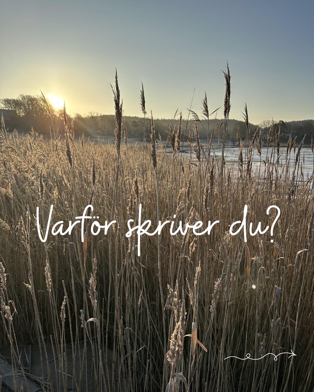 När AI kan skriva - varför skriver jag?
Jag skriver för att uttrycka mig. Jag skriver för att sätta ord på det det som rör sig inom mig. Just nu, i detta ögonblick.
Jag skriver om min osäkerhet, mina frågor om livet, om allt jag inte vet, om allt jag inte förstår och om det som känns sant för mig, just nu. Om livets bådeochhet, svartochvithet, grådaskighet och färgsprakighet. Om den djupare sanningen.
Jag skriver för att se och för att bli sedd. Jag skriver för att lyssna och för att bli lyssnad på. Jag skriver för att känna och för att känna igen. För att känna livet i mig. Känna mig levande.
Jag skriver för att förstå och för att bli förstådd. Jag skriver för att förstå att jag aldrig kommer att förstå allt och att det är okej. Jag skriver för att förstå att allt är okej, att jag är okej, även när det verkligen inte verkar så.
Jag skriver för att när jag skriver så vet jag att jag finns. Jag skriver för att få bekräftelse på att jag finns. Jag skriver för att spegla mig, för att belysa mörkret och för att känna igen mig själv som den jag verkligen är. Jag skriver för att minnas vem jag är.
Jag skriver för att uttrycka min mänsklighet och minnas min gudomlighet.
Varför skriver du?
(Also in English this time, thanks to @creativeliving.world @loismac_ @maiaben
#expressivewriting #expressivtskrivande #läkandeskrivande #skrivövning