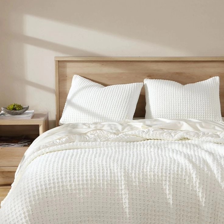 TKF Seasonal Waffle Comforters ⚡
Indian Organic Home Textile Manufacturing company.
Visit us at www.thekarurfabrics.com