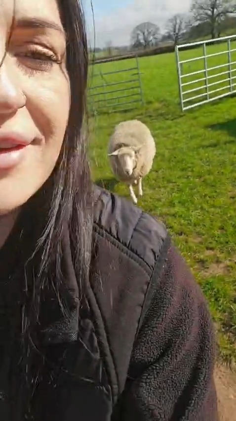 Charley and and our orphan lamb from last year that thinks she is a dog 🤣 #FarmLife #SpringOnTheFarm #Lambing2026 #CountryLife #BehindTheScenes #SomersetFarm
