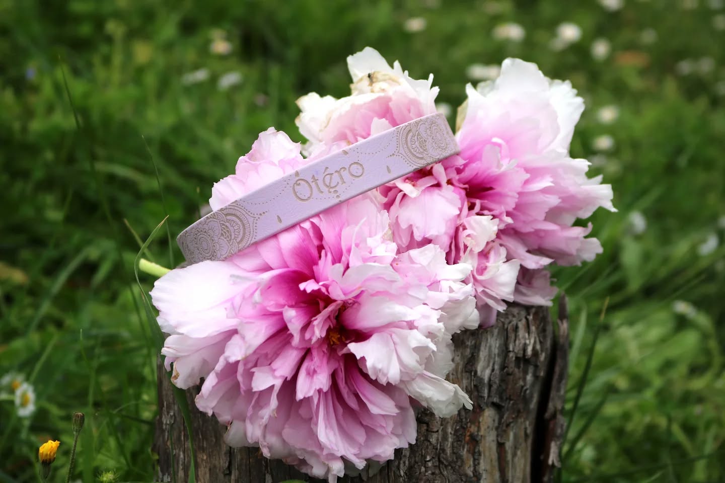 🌸 Le printemps🌿
Le soleil pointe le bout de son nez, les fleurs éclosent... et les sorties deviennent plus longues
(et parfois plus salissantes !😅).
C'est le moment idéal pour (re)découvrir nos incontournables colliers en Biothane®.
Pourquoi est-ce l'accessoire indispensable pour votre chien ce printemps ?
✨ Look pimpant : Des couleurs qui ne ternissent pas, même sous un grand soleil.
💦 Zéro stress : Une flaque d'eau ? Une averse printanière ? Le Biothane est 100% imperméable et n'absorbe pas les mauvaises odeurs.
🧼 Nettoyage express : Un coup d'éponge après la balade et le collier redevient comme neuf, prêt pour la photo !
💪 Solidité garantie : Pour les explorateurs qui aiment se faufiler partout.
Comme Otero, optez pour l'élégance sans sacrifier l'aventure. Le Biothane, c'est le style qui dure, saison après saison. 🐾