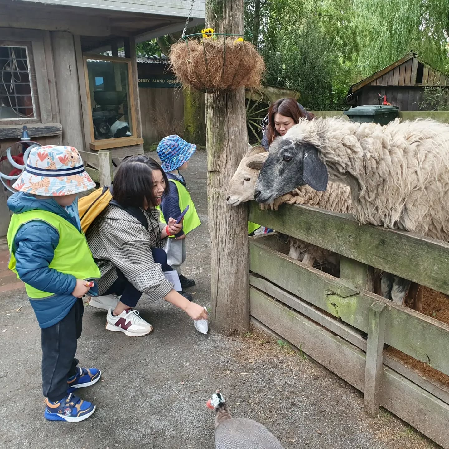 What a way to end our year with a trip to Willowbank last week. Great timing with all the young baby animals around the reserve. Our ngā tamariki had a lovely day and we were grateful to our great parent helpers who made the day possible. Such a great opportunity for our curious children learning about our native species.