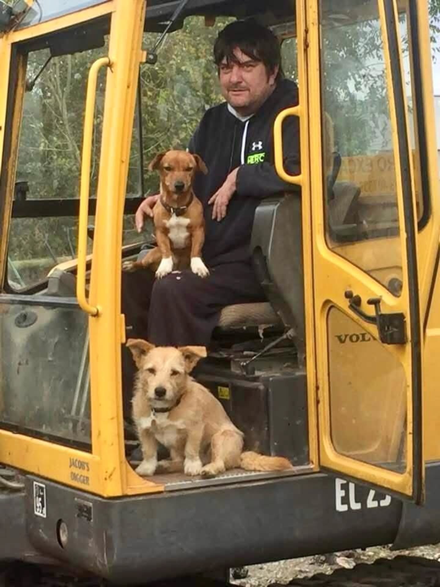 Happy hump day 🫣
On Monday we finally found the exact location of the water leak in the main field. We aren't looking to install a pool in the field and offer dog swimming lessons so something had to be done!
A huge thank you goes to Hero Excavators for their prompt support ⛏️🐾
#SecureDogField #SecureDogPark #StressFreeWalking #WanderlustWalkies