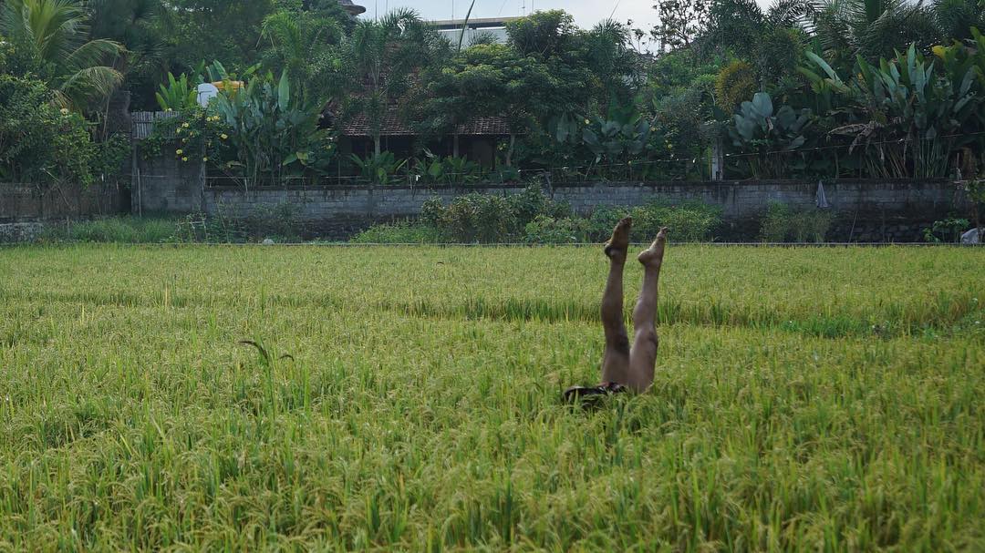 “Monkey mind give you pain, not monkey man.” Ketut bringing all the laughs today. New piece out soon 🎥