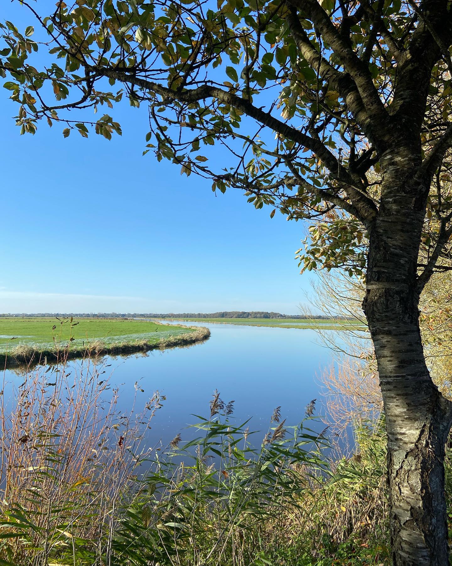 Au cœur des marais du cotentin