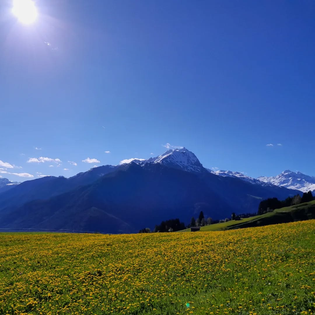Bei wunderschönem Wetter wurde heute am UTS Tag der Freiwilligen gewerkelt, gemalt, geschraubt, aufgeräumt und vieles mehr. Nach der Arbeit haben wir es uns bei feinem Essen gutgehen lassen.
Ein riesiges Dankeschön allen Helferinnen und Helfern für den gelungenen Tag.
#stierva #uniunturisticastierva #uts #tagderfreiwilligen #