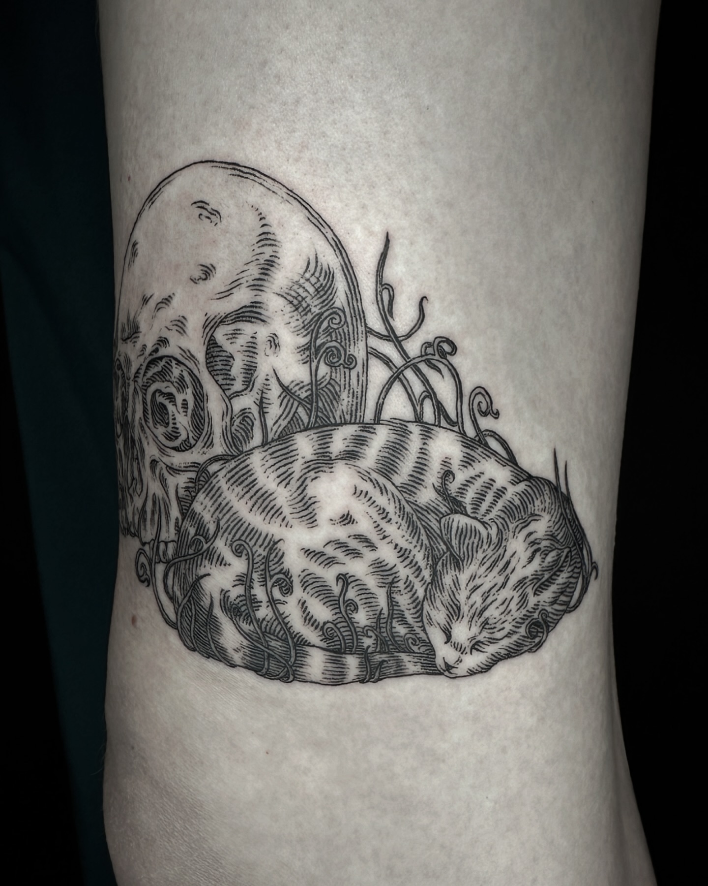 • Memento Mori •
Thanks for the trusting me with your first tattoo Aspyn!
Inked at @embersteel_studio
.
.
.
.
.
#mementomoritattoo #cattattoo #slctattoo #slctattooartist #slctattoos #utahtattoo #utahtattooartist #slcartist #slcink #blackwork #blackworkers #onlythedarkest #arteobscurae #finelinetattoo #fineline #blackandgreytattoo #etching #engravingtattoo #engraverstattoo #lineworktattoo #woodcuttattoo #etchingtattoo #occulttattoo #alchemytattoo #medievaltattoo #inkengravers @engraverstattoos @thedarkestwork