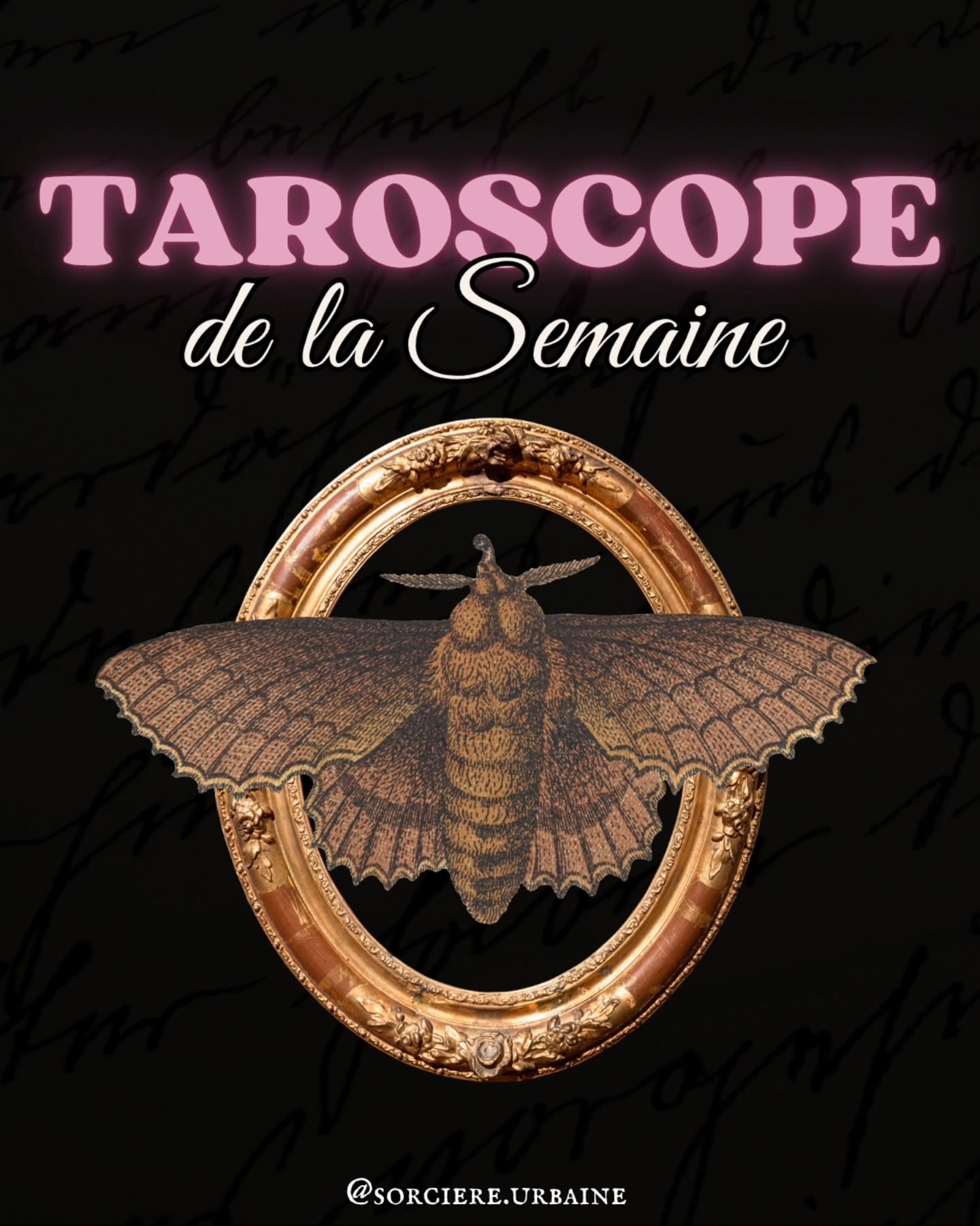 | Les énergies de ta semaine du 23 Mars 🔮 |
➡️ Ton rendez-vous tous les dimanches soirs 🔥🌹🕯
Et oui avant que tu ne le demandes 😜 : le mantra des Sagittaires est le même que la semaine dernière 🌹
Chaque semaine découvre les énergies de la semaine signe par signe 💫
Pour une guidance la plus complète possible, je te conseille de consulter à la fois les énergies de ton signe solaire (le jour de ta naissance, celui que tu connais) mais aussi de ton signe lunaire et de ton ascendant.
👉 Comment obtenir ces informations ?
En consultant le site astrotheme.fr. Tu auras la possibilité d'y inscrire ta date de naissance, heure de naissance et lieu de naissance afin d'obtenir ces informations.
Mais si tu n’as "que" ton signe solaire, c’est déjà très bien 🤗 !
👉 Avant de commencer, je te rappelle que tu préserves en tout temps ton libre arbitre et la responsabilité de tes choix 🙏.
Rien n’est jamais gravé dans le marbre et si un de ces messages te met mal à l’aise ou semble te contraindre… Ignore-le, préserve-toi et prends soin de toi.
Quel est ton signe et est-ce que ça te parle 💬 ?