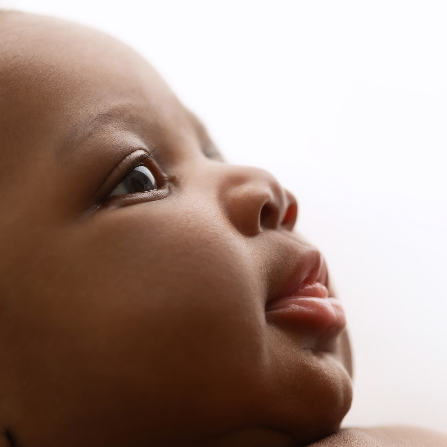 Soaking in all the newborn details.
Nothing compares 🥹
#newbornbabygift #newbornphotography #familyphotography #babyportrait #newborndetails