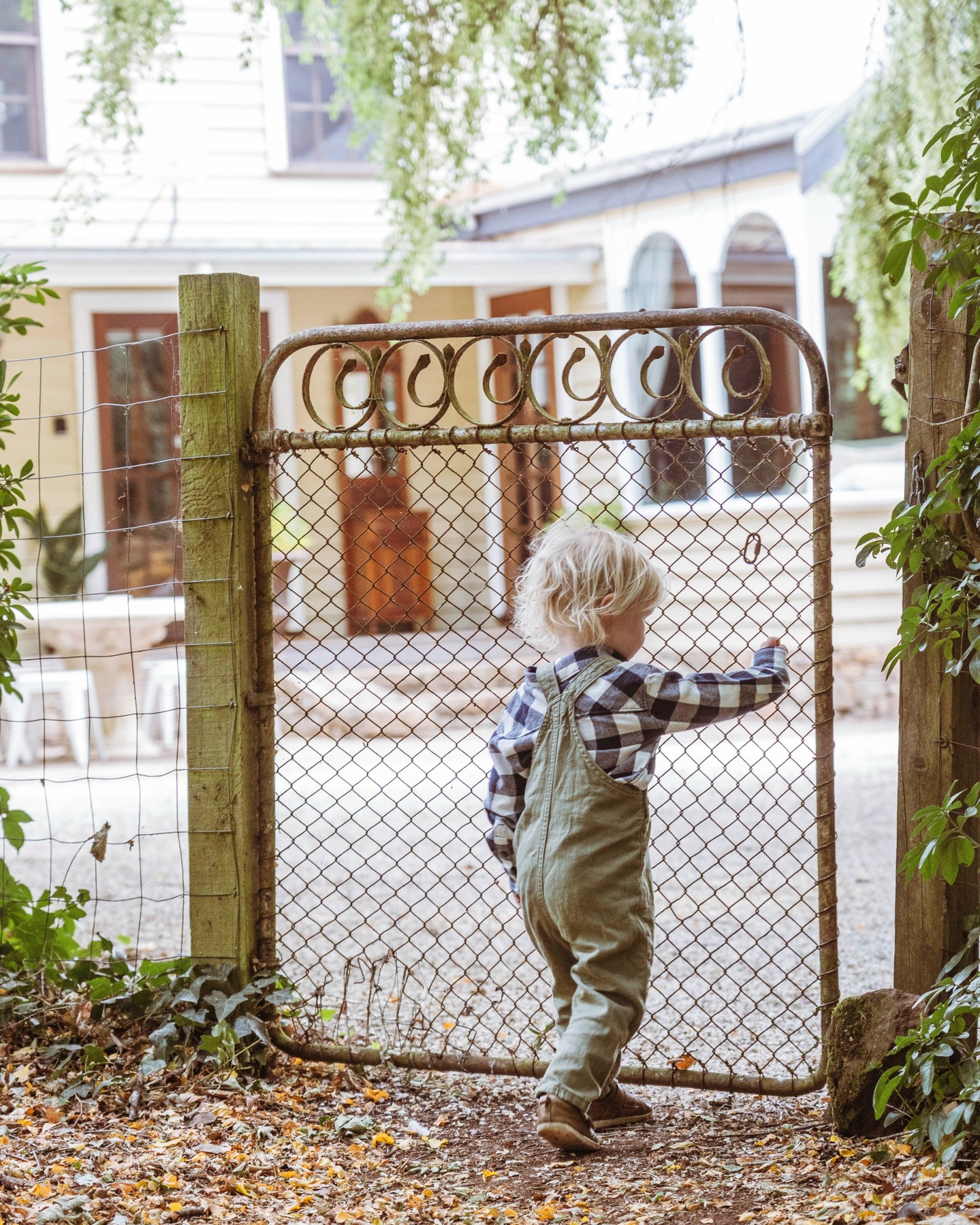 Adventure for all ages, comfort for the grown-ups. The Cosmo Cottage puts Wombat Forest, Trentham Falls, a family-friendly pub and a heritage garden right at your doorstep.