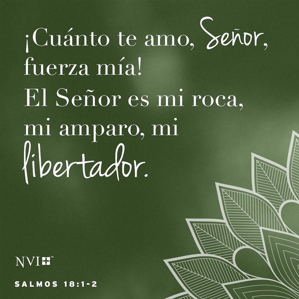 I loved learning today that the word translated “love” in 18:1 ~usually~ refers to God’s deep and merciful love for His creation — but in this case is one of only a handful of verses where it shows us loving God that way.
.
We love Him with the love wherewith He loves us.
.
#oneLove #GodisLove #DiosesAmor #loveGodlovepeople #ChristianScience #BibleLesson #BibleLens #ChristianScienceSentinel #CienciaCristiana