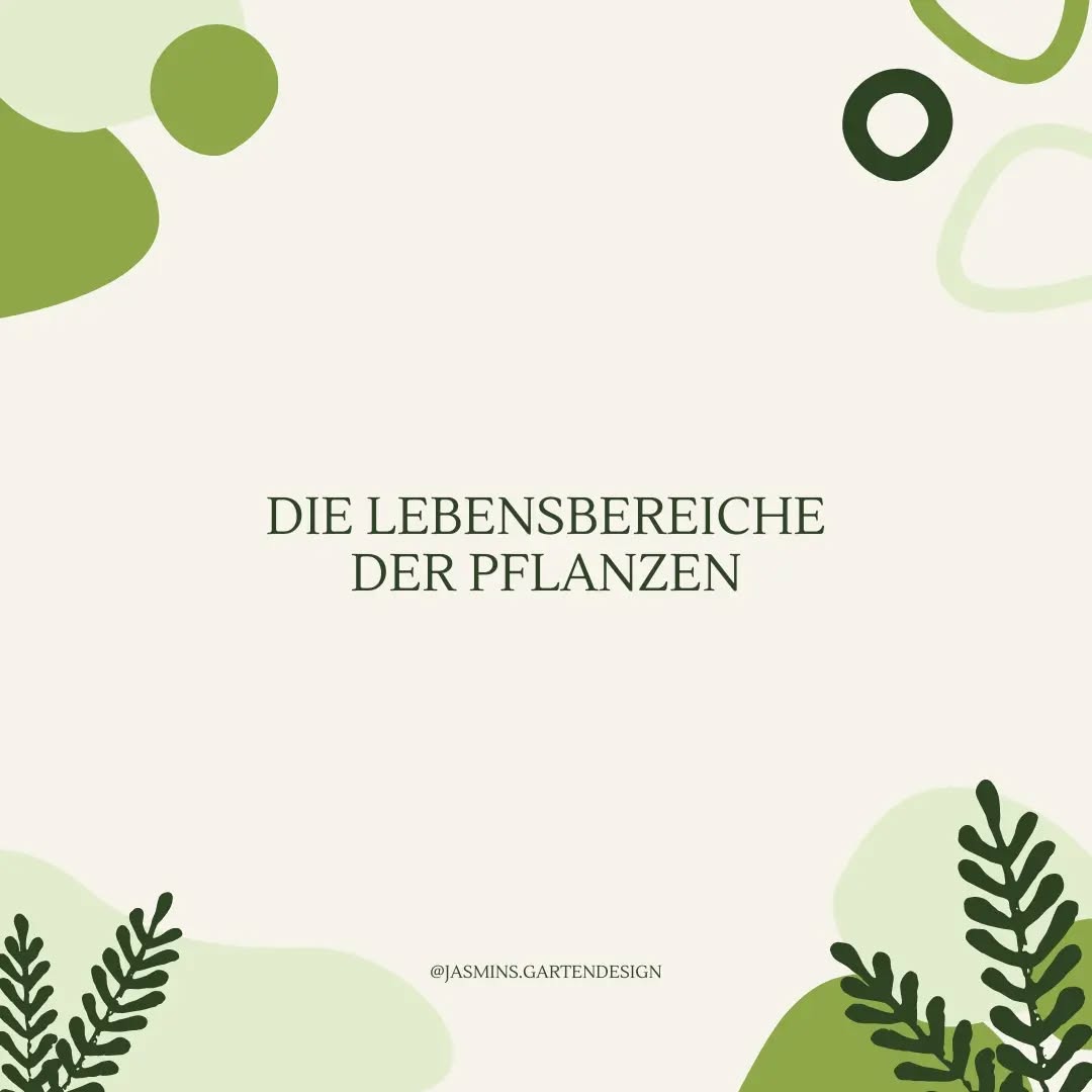 🌱 PFLANZENWISSEN 🌱
Hast du schon von den Lebensbereichen der Pflanzen gehört?
❗Wenn du in deinem Garten neue Pflanzflächen anlegen möchtest, ist es wichtig, diese zu berücksichtigen.
Manche Pflanzen eignen sich für sonnige Bereiche, fühlen sich also in der Freifläche und in Beeten wohl. Andere Pflanzen benötigen schattige/ feuchte Standorte, eignen sich dementsprechend für dunklere Gartenbereiche oder zur Unterpflanzung von größeren Gehölzen.
❗Je besser du darauf achtest, die Pflanze an den passenden Standort (Lichtbedarf, Bodenfeuchte, Bodenart, Nährstoffe, etc.) zu setzen, desto:
✔ langlebiger
✔ pflegeleichter
✔ vitaler
✔ vielfältiger
wird das Erscheingsbild deiner Pflanzfläche sein!
.
.
.
.
.
.
.
.
.
.
.
.
.
.
.
.
#Landschaftsarchitektur #Landschaftsgestaltung #landschaftsarchitektin #landscapedesign #Gartengestaltung #garteninspo #gartenjournal #gartendesign #gartenbau #gartenarchitektur #gartentipps #gartenkonzepte #wissentogo #wissenswert #pflanzkonzepte #pflanzentipps #pflanzenwissen #grünanlagen #grünerwohnen #planungstipps #lebensbereiche #Hausgartenplanung #hausbau2022 #hausundgarten #hausbau #homeandgarden