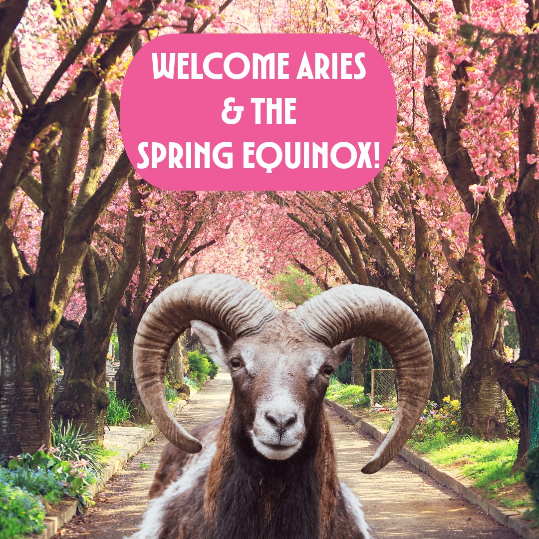 ♈️ Aries season is here! 🔥
Today is the Spring Equinox — equal day, equal night — and then the light takes the lead.
If you've been feeling the heaviness of eclipse season and Pisces' deep waters, today is your exhale and your ignition.
The wheel turns. Spring begins. What are you carrying into the fire?
🌿 Link in bio for the full King of Cups New Moon + Equinox read.
#SFTarot #springequinox #equinox #ariesseason #aries #firstdayofspring #newseason #tarot #kingofcups #moonmagic #piscesseason #spirituality #intentionsetting #tarotreader #seatarot #sanfranciscotarot #tarotcommunity #sacredpractice #lunarmagic #newbeginnings #wheeloftheyear